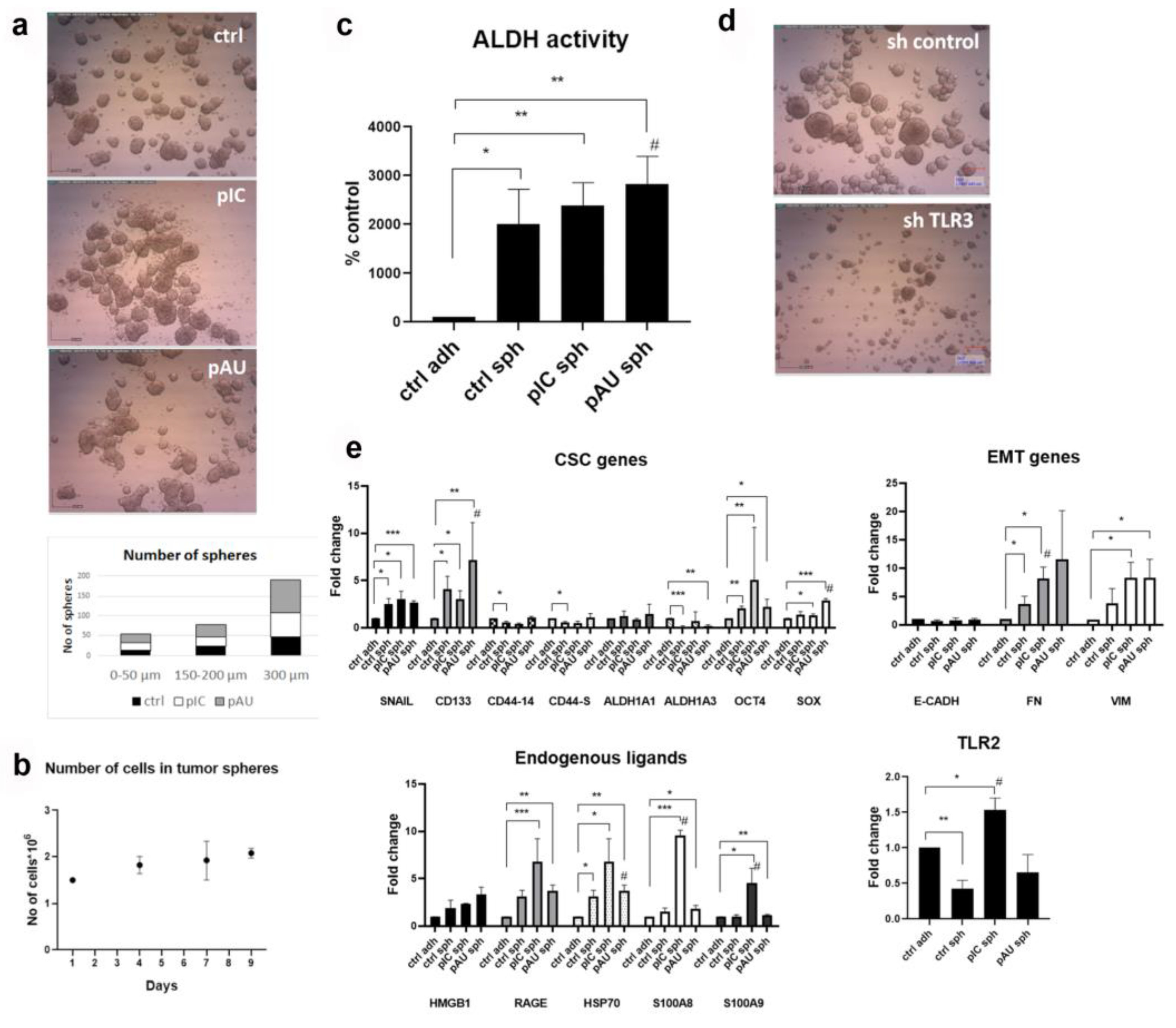 Cancers 17 02157 g001 Cancers 17 02157 g001