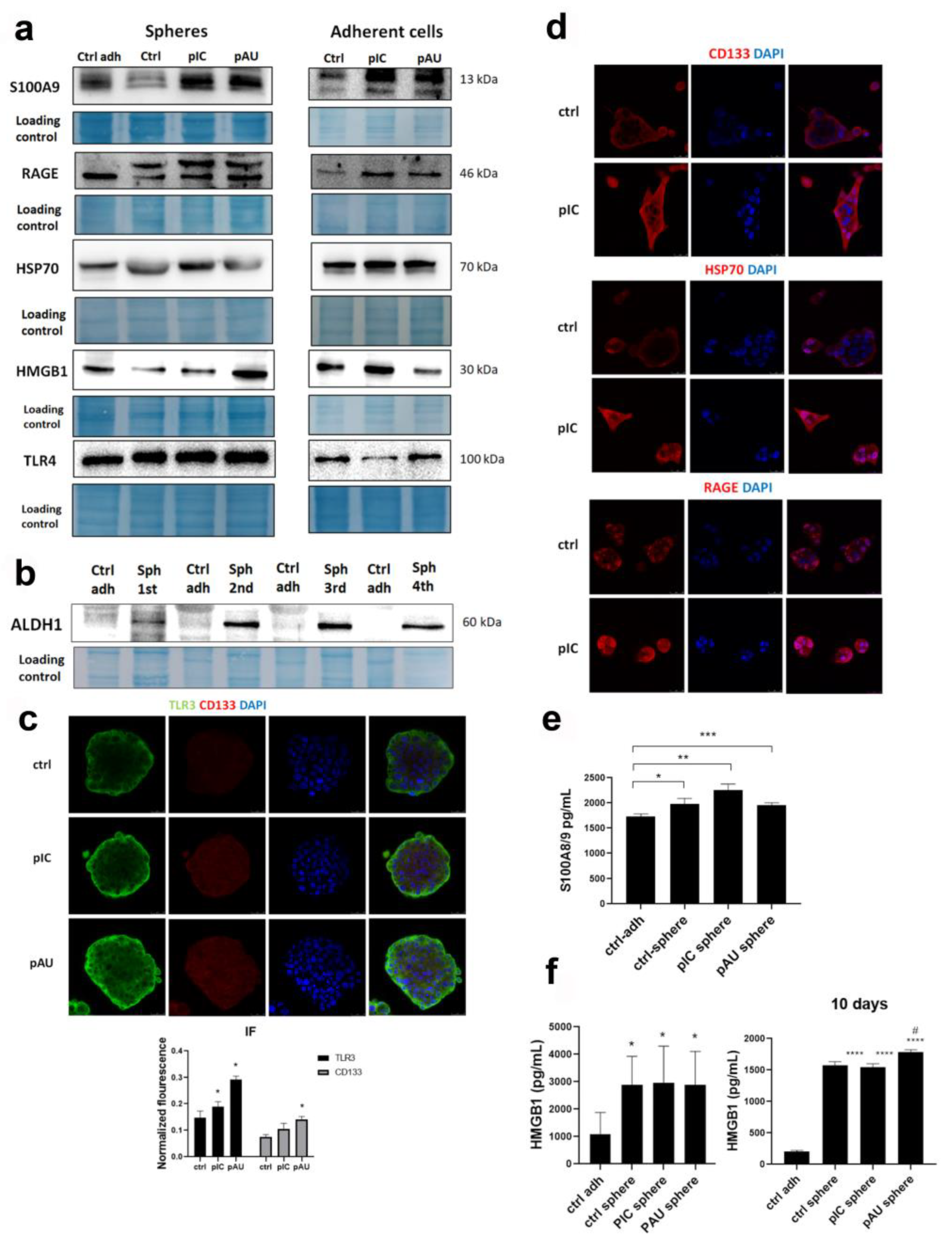 Cancers 17 02157 g002 Cancers 17 02157 g002