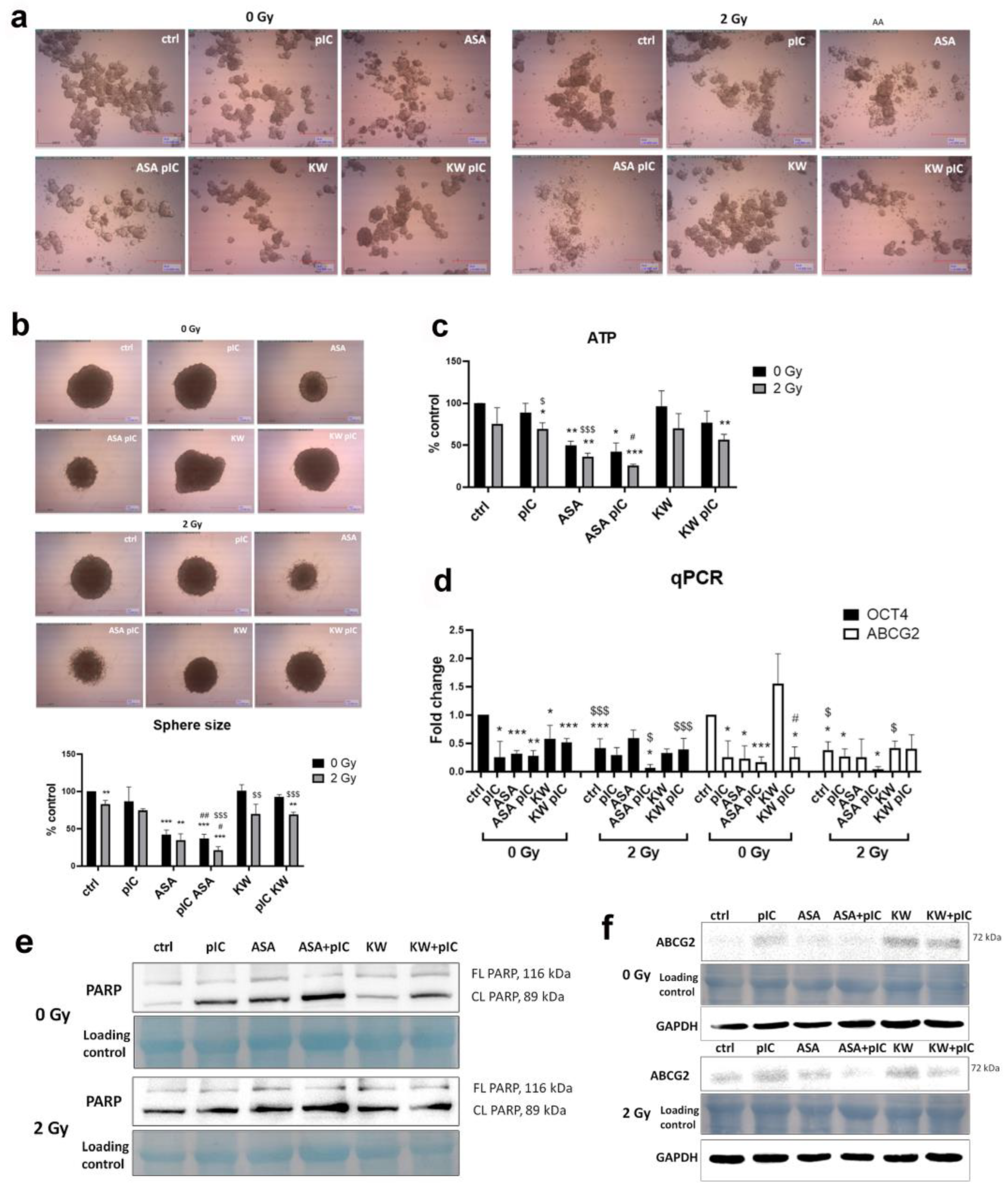 Cancers 17 02157 g006 Cancers 17 02157 g006