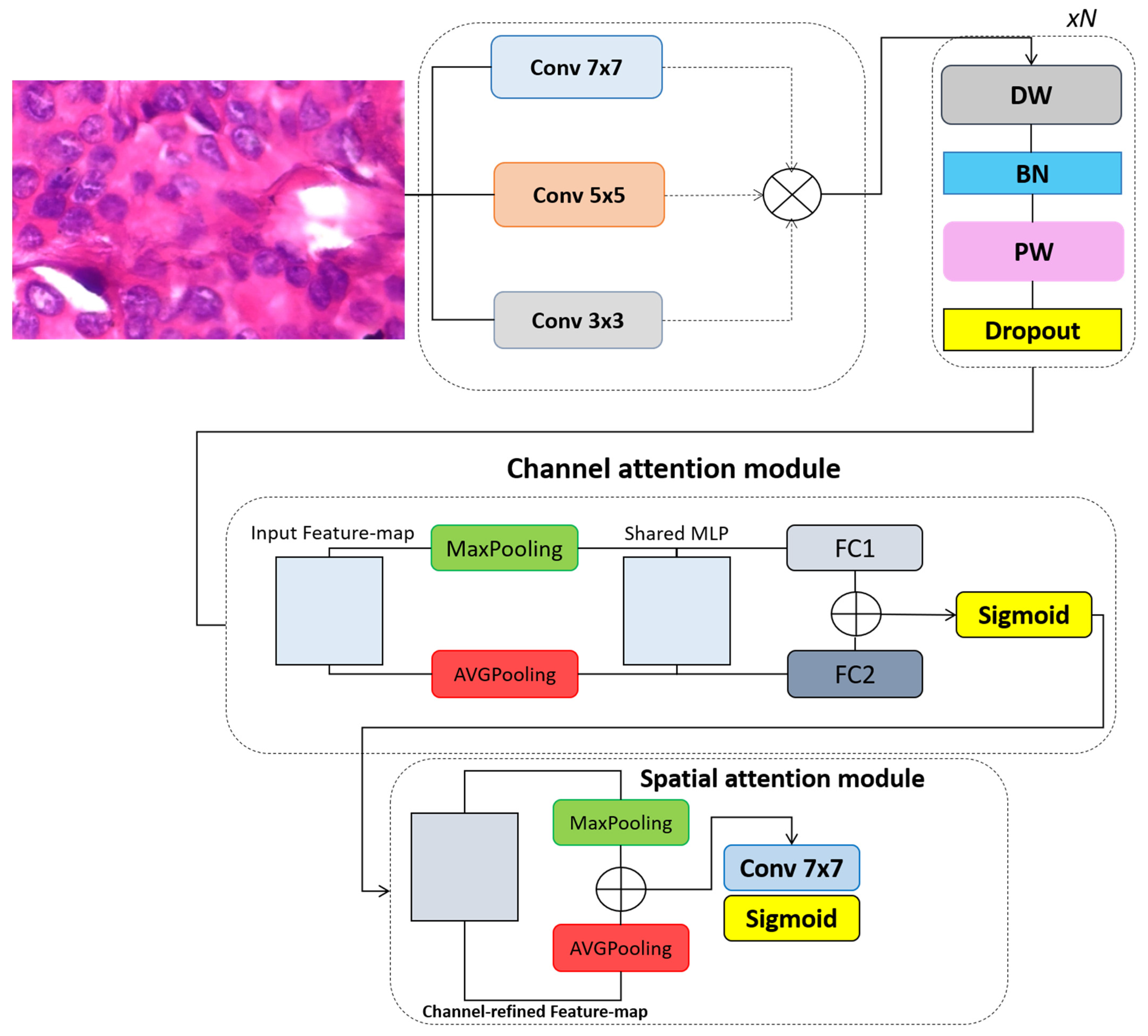 Cancers 17 02159 g001