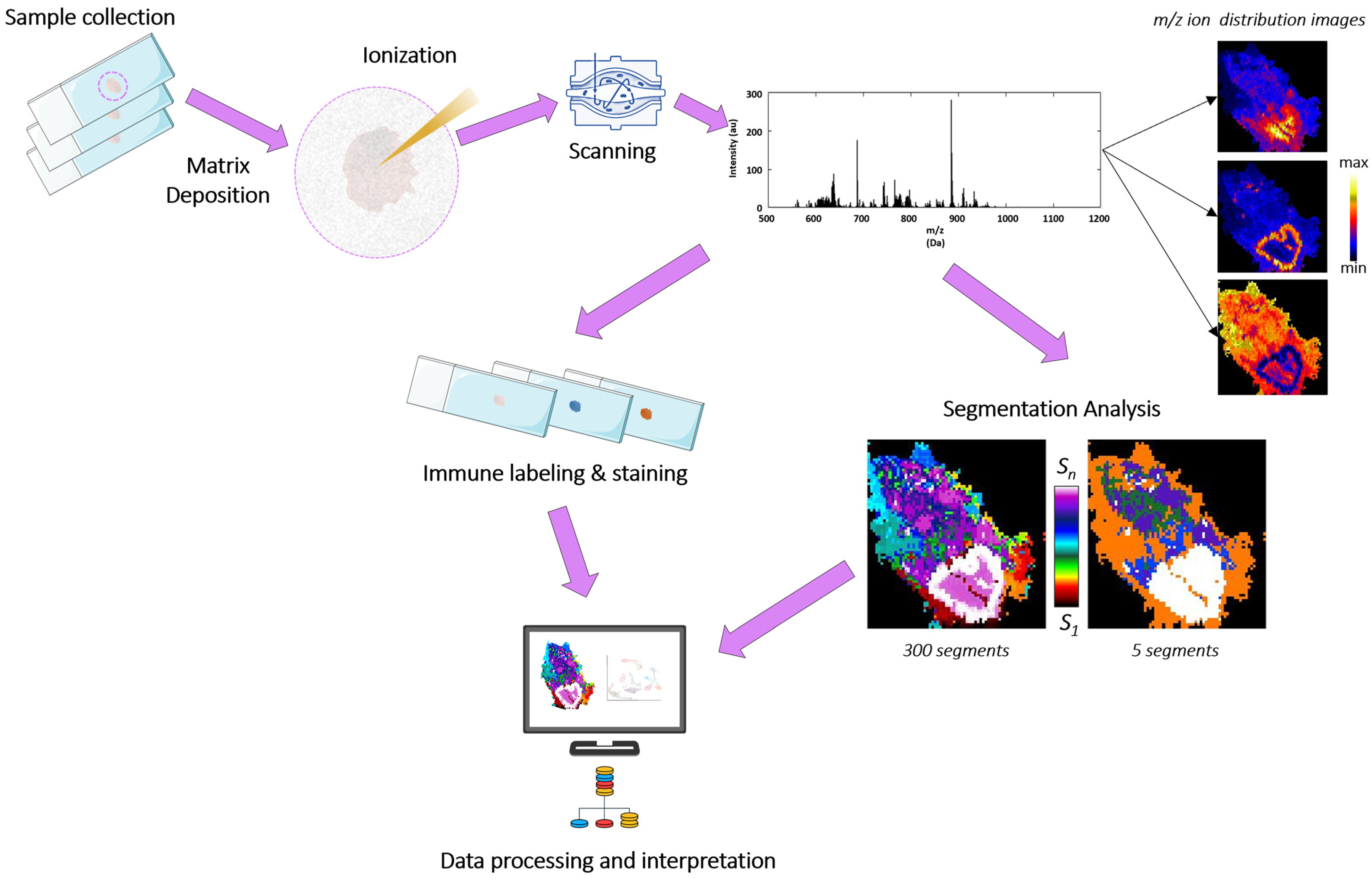 Cancers 17 02160 g001