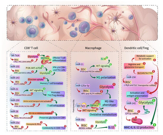 MicroRNAs in Cancer Immunology: Master Regulators of the