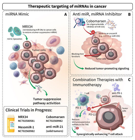 MicroRNAs in Cancer Immunology: Master Regulators of the