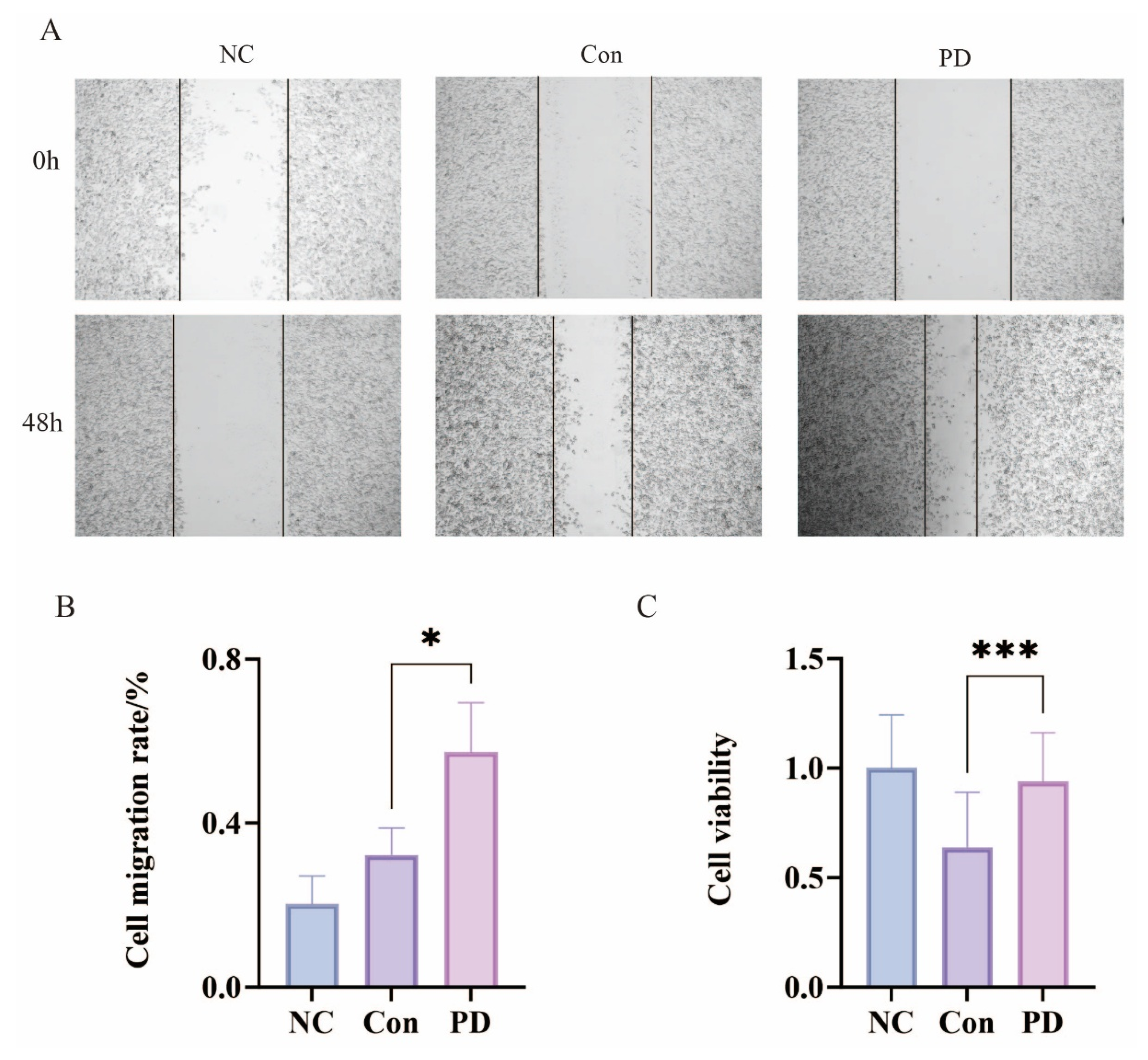 Cancers 17 02181 g003
