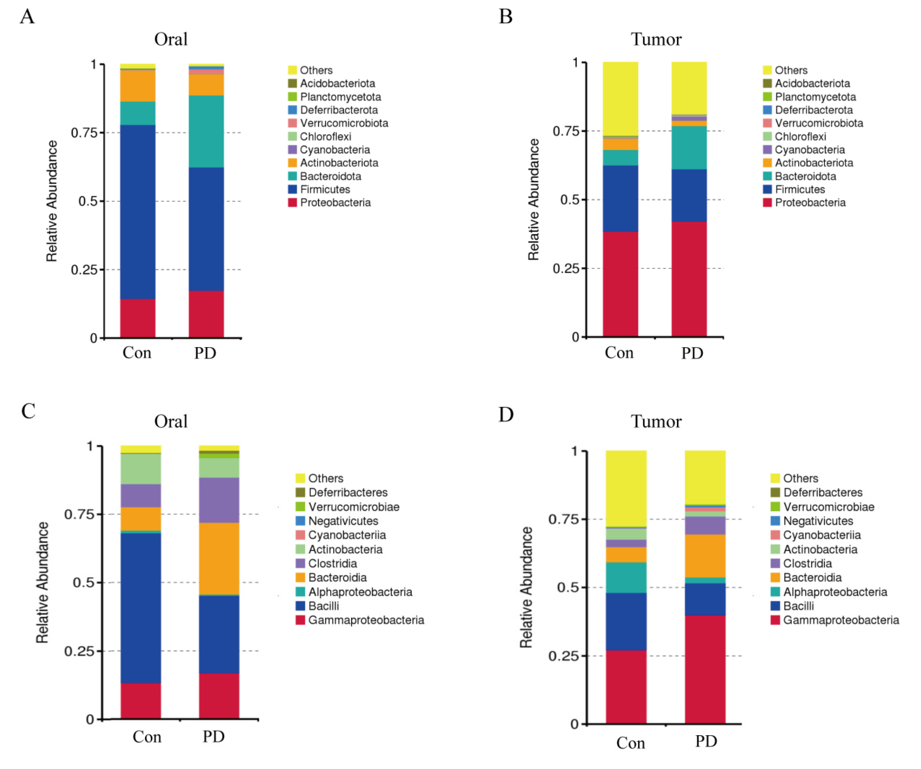 Cancers 17 02181 g005