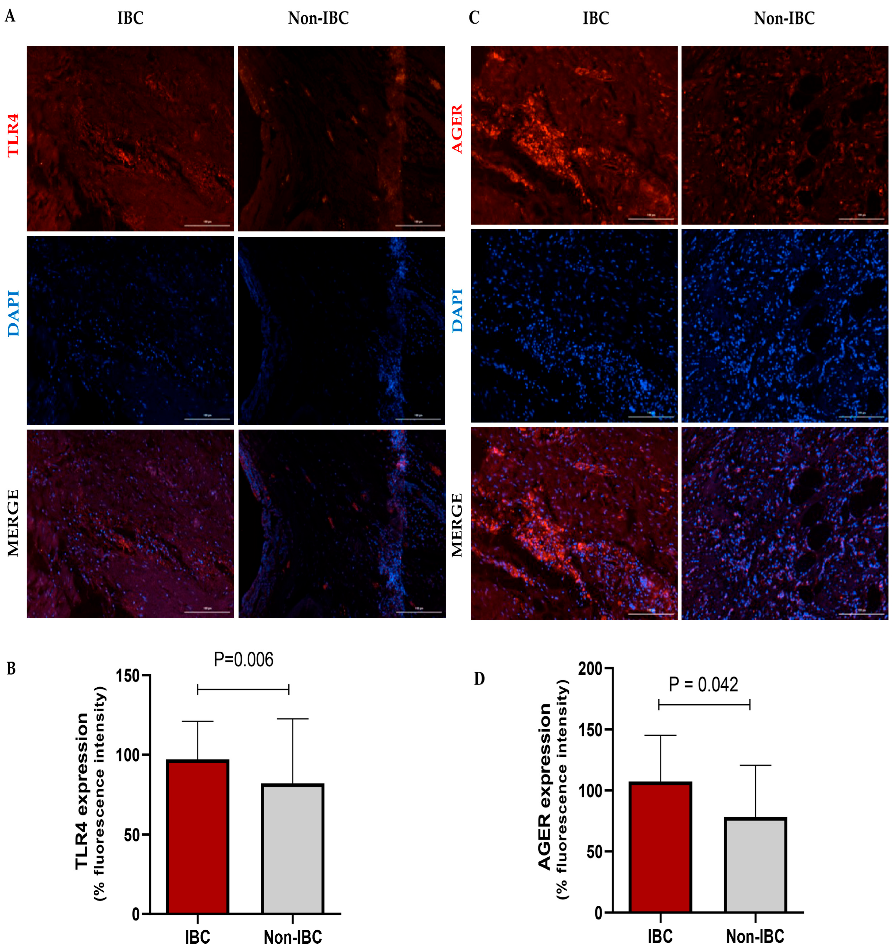 Cancers 17 02182 g002 Cancers 17 02182 g002