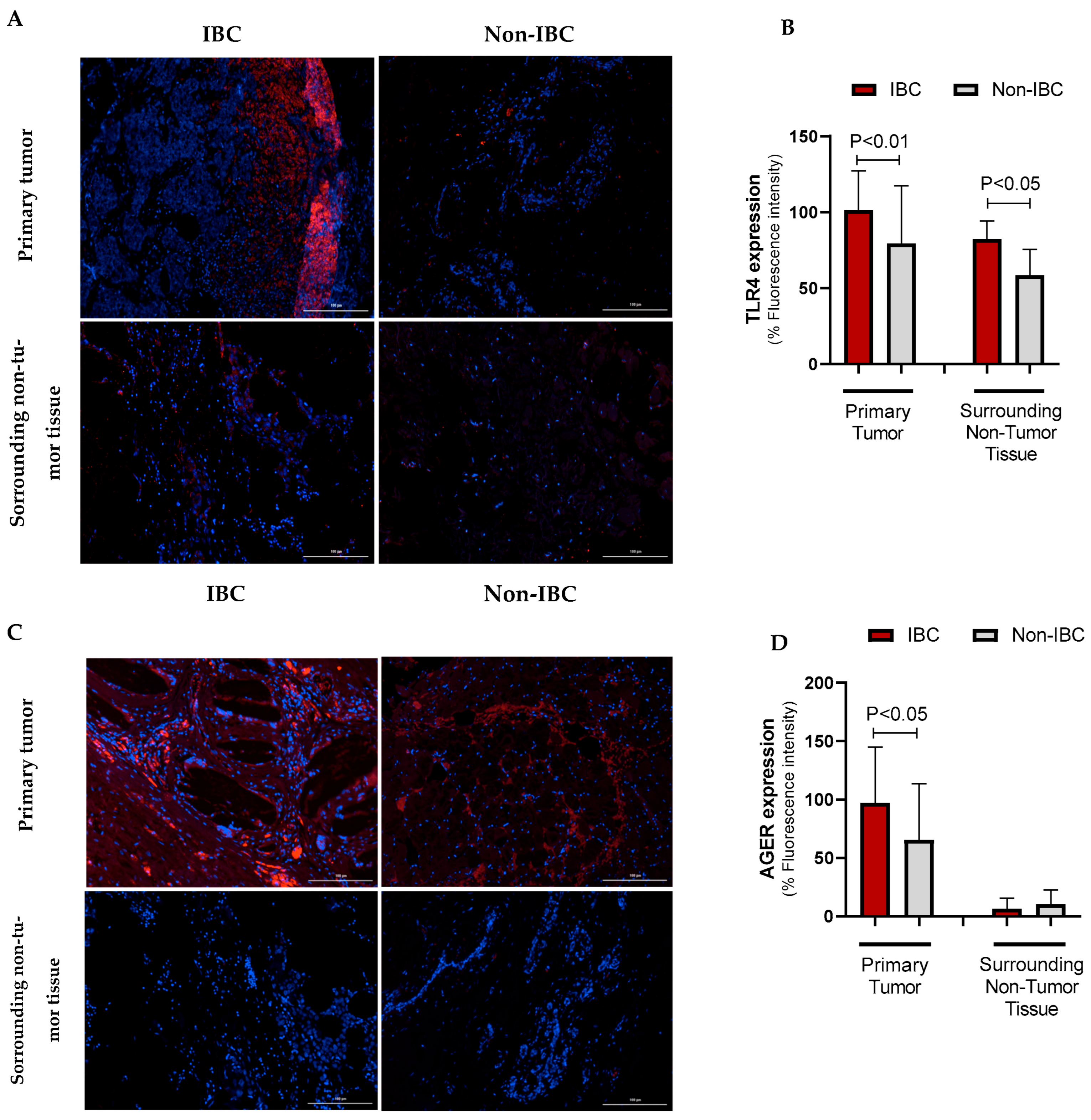 Cancers 17 02182 g003 Cancers 17 02182 g003