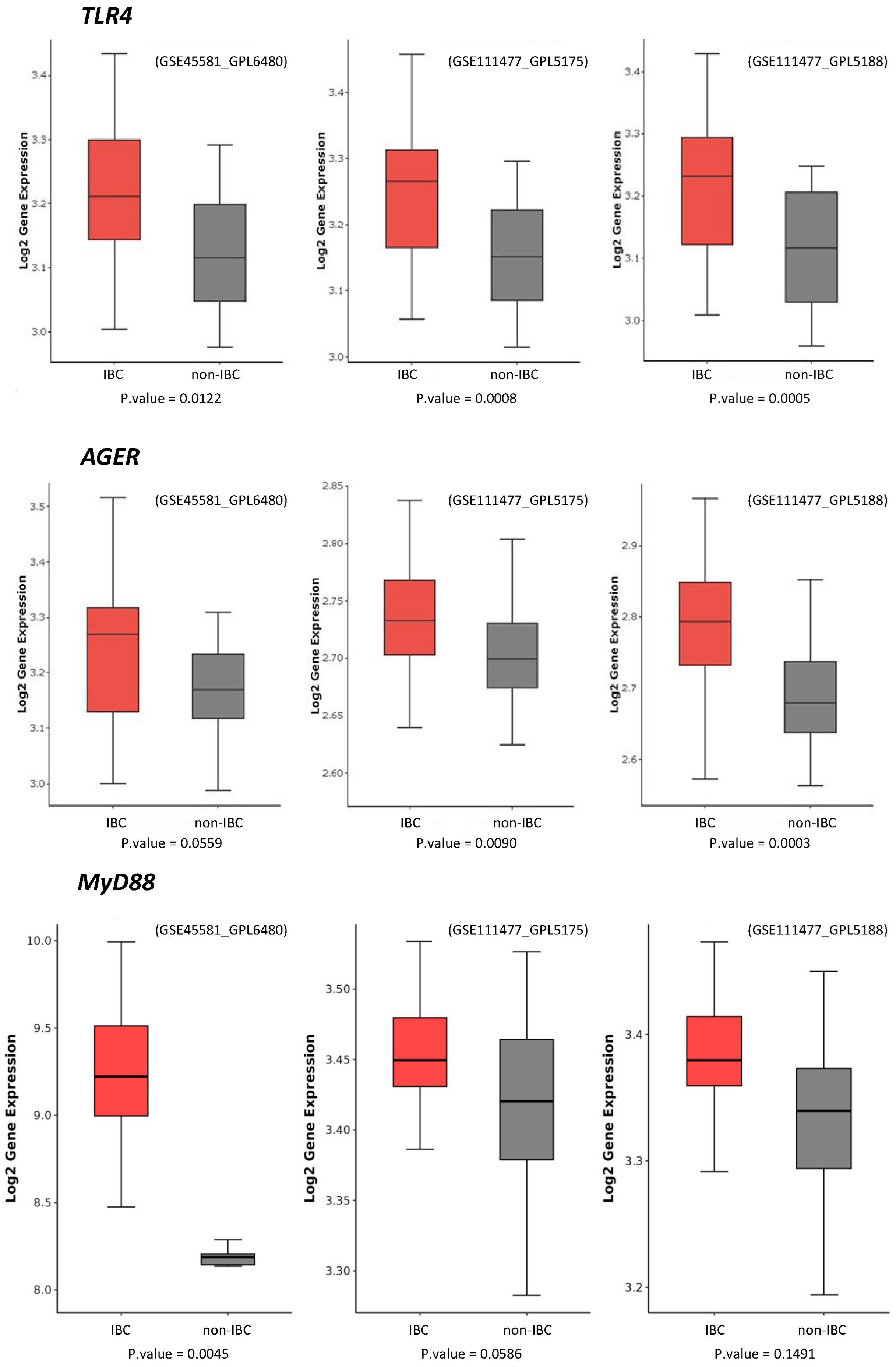 Cancers 17 02182 g005 Cancers 17 02182 g005