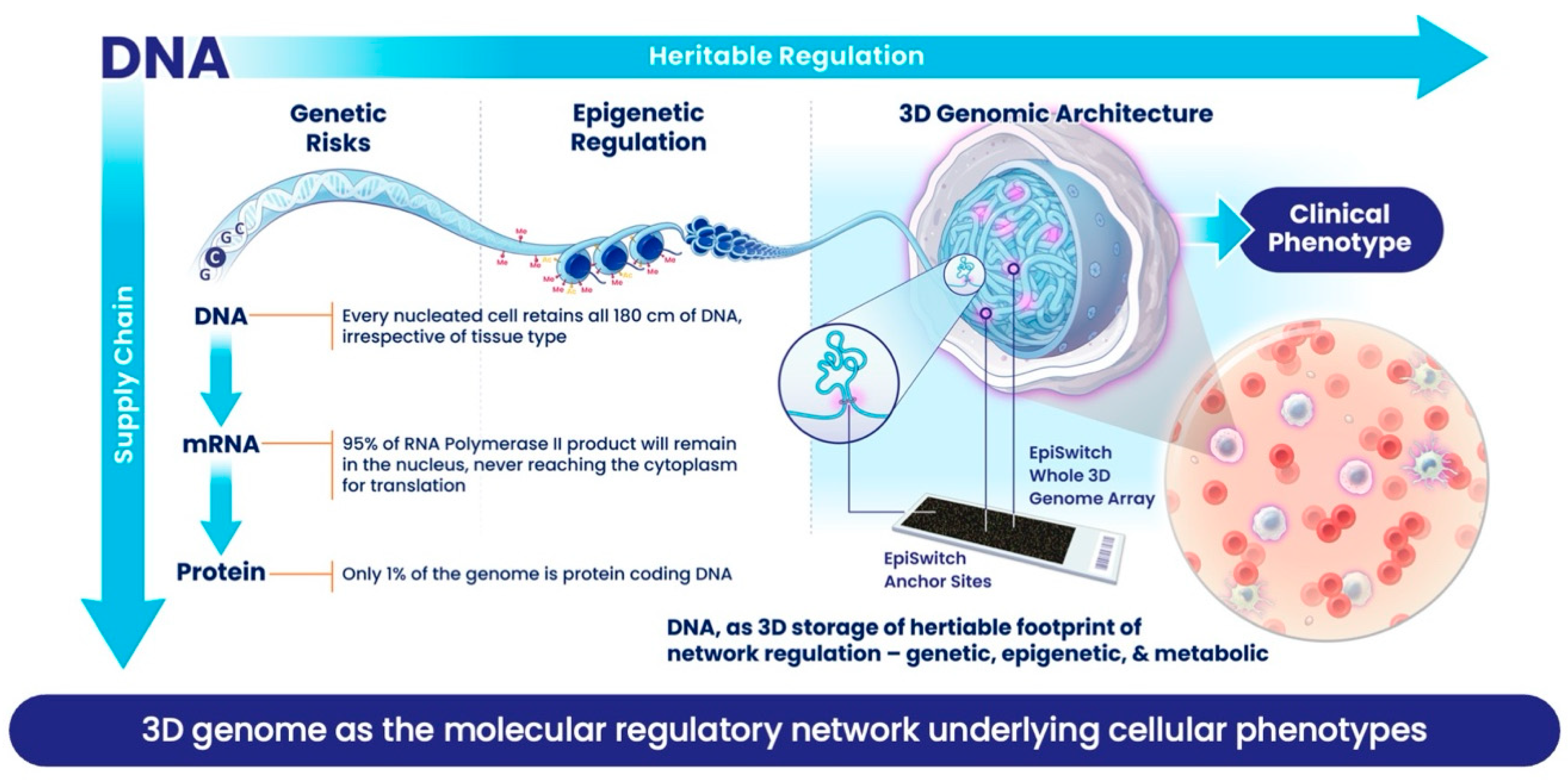 Cancers 17 02187 g001