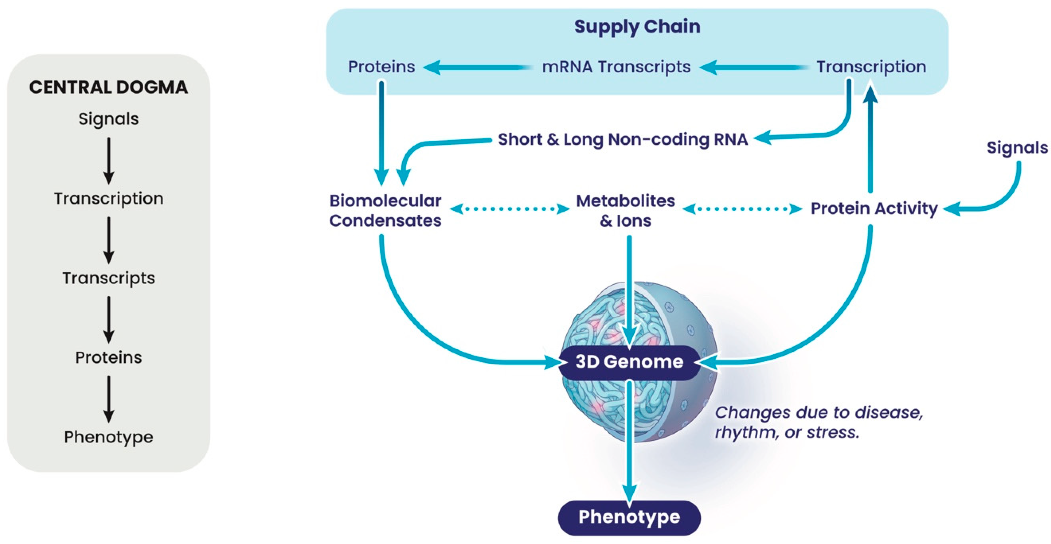 Cancers 17 02187 g003