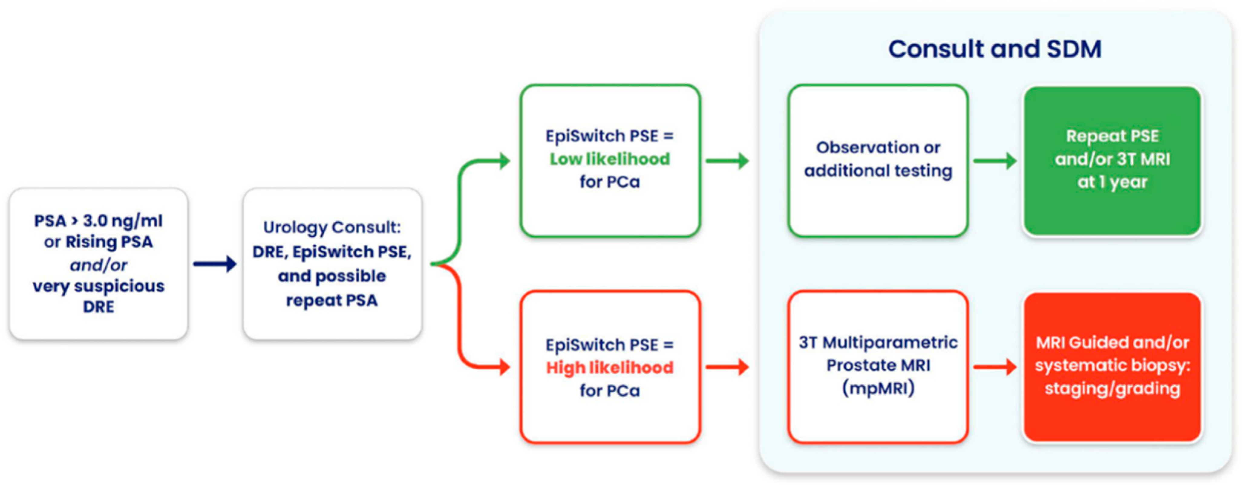 Cancers 17 02193 g004