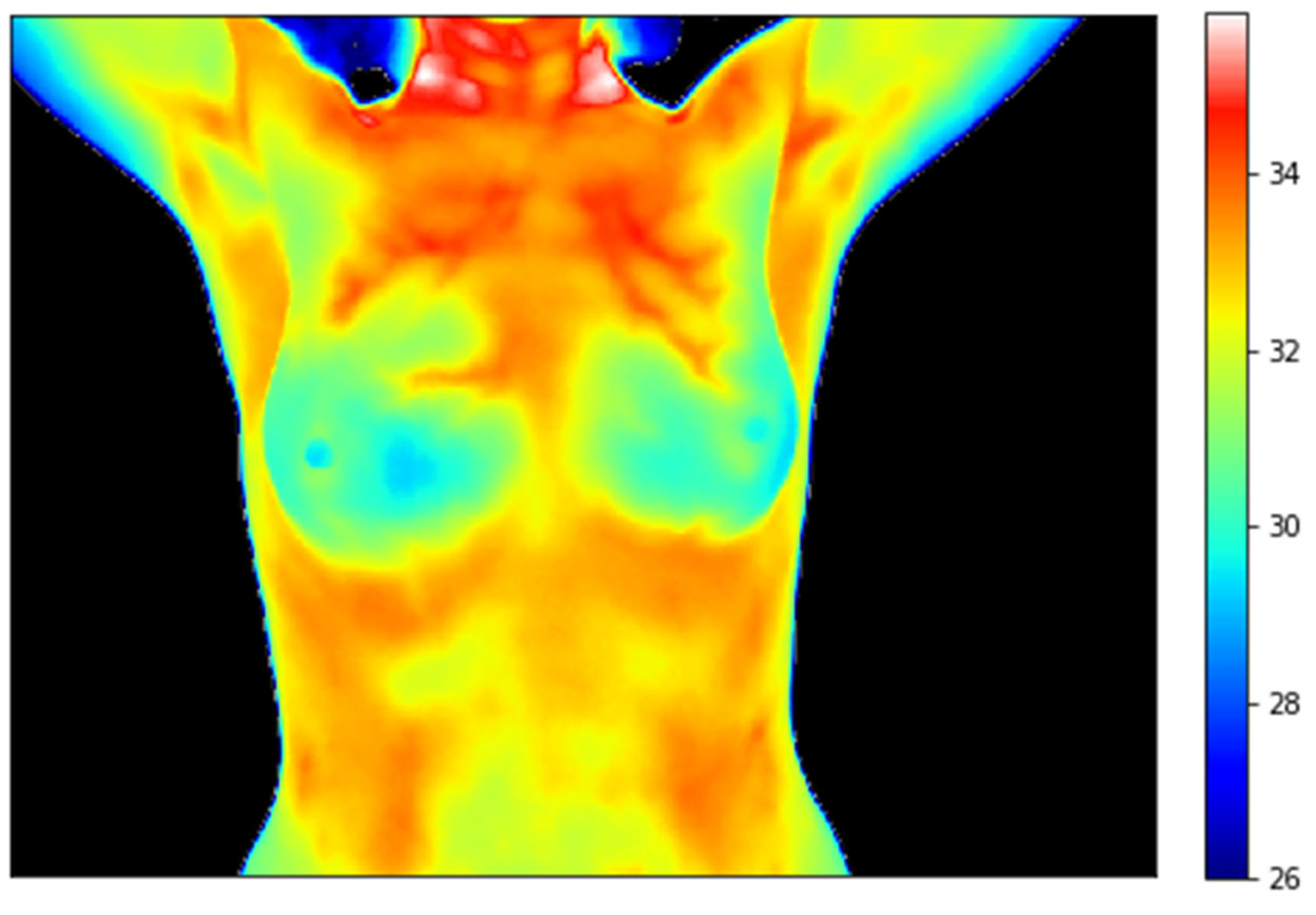 Cancers 17 02195 g001