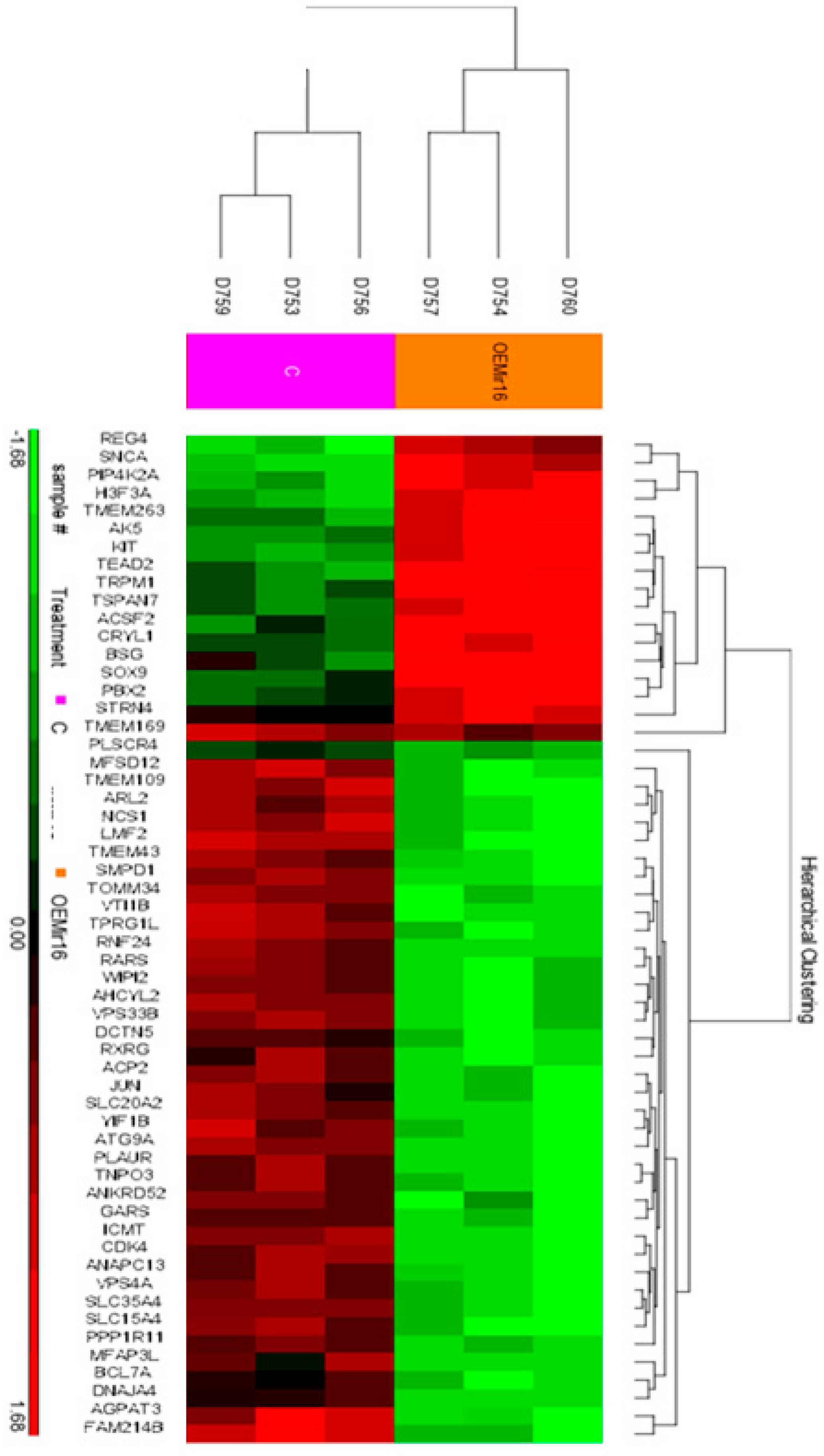 Cancers 17 02197 g004