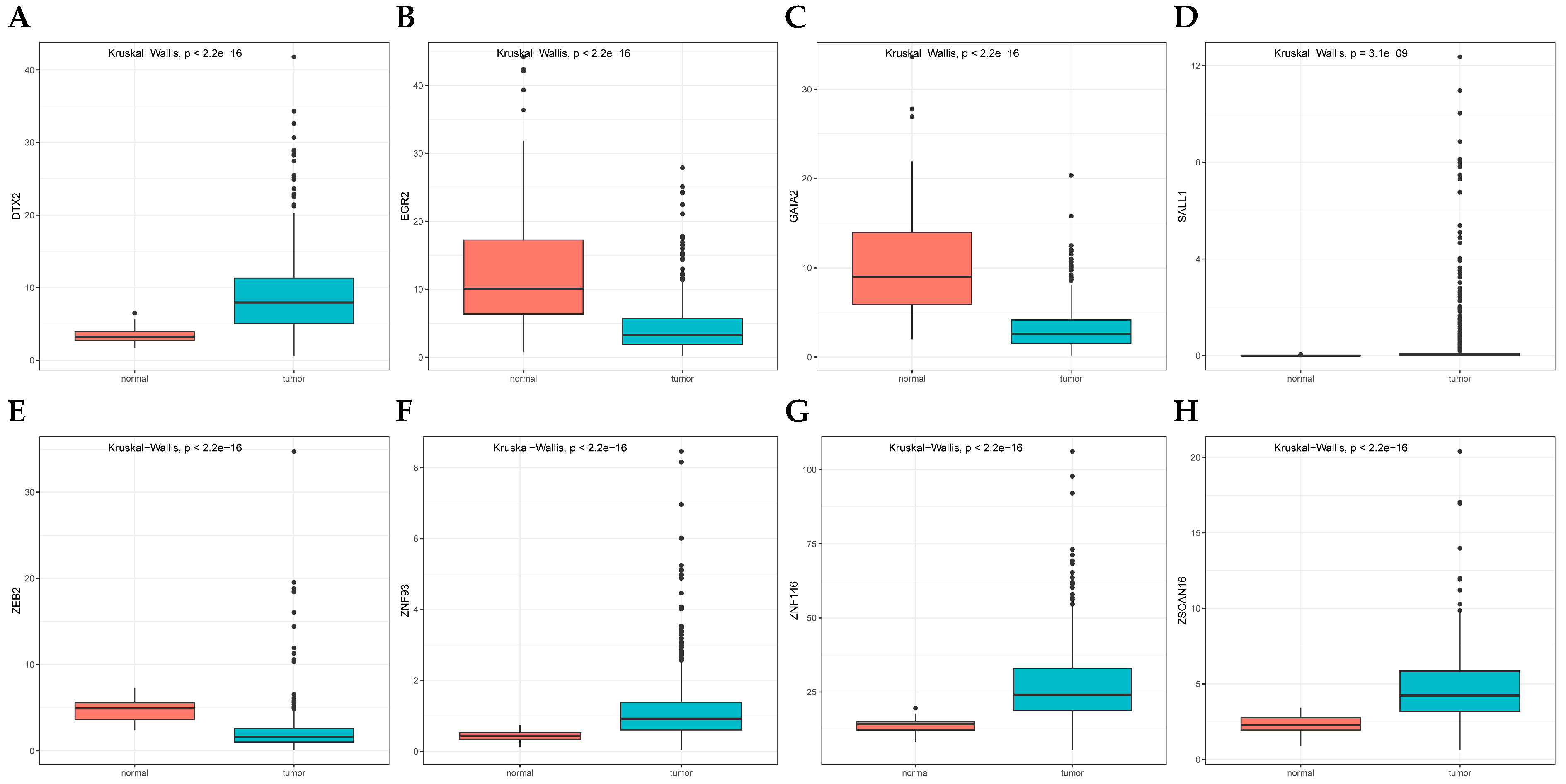 Cancers 17 02203 g008