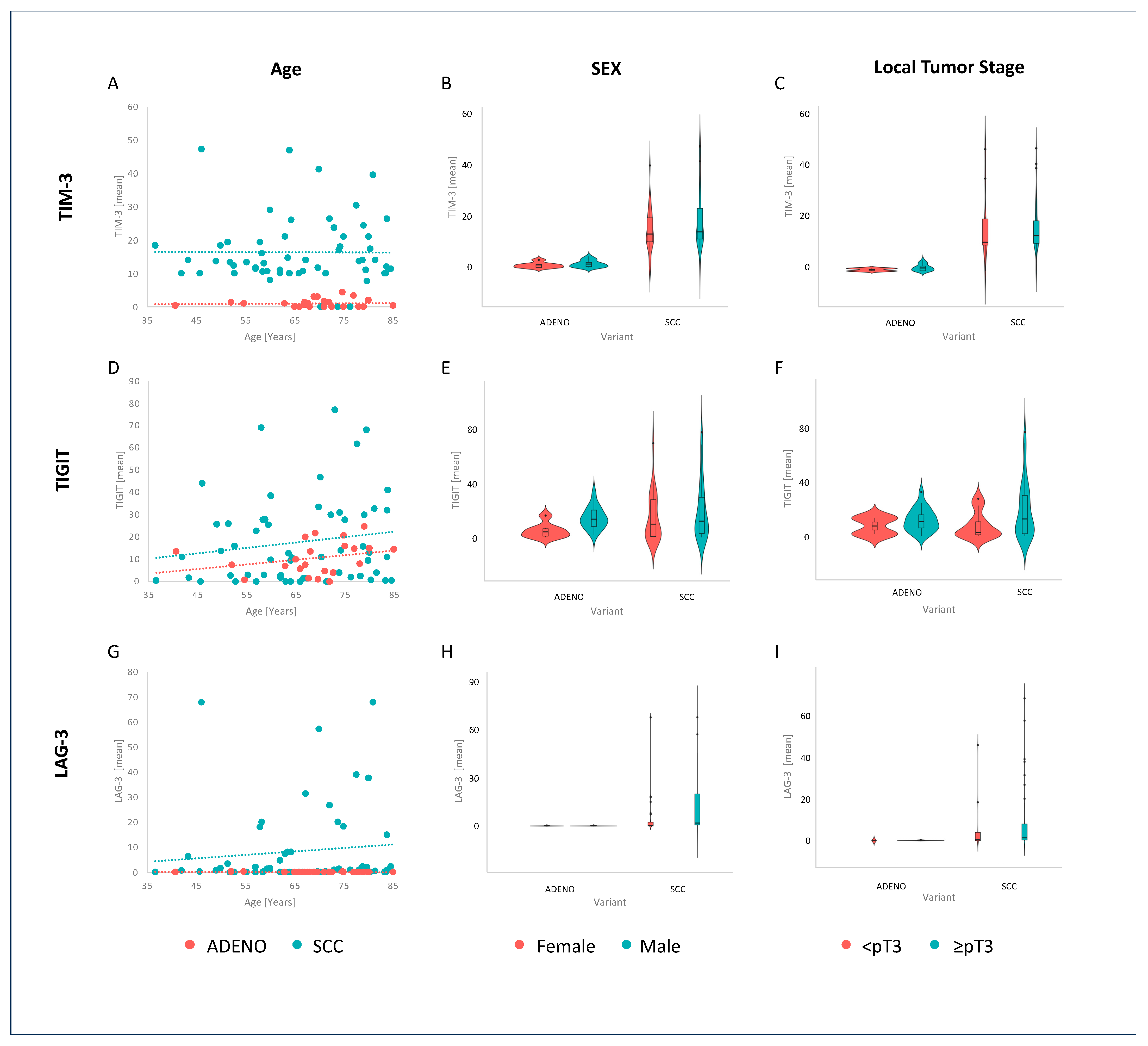 Cancers 17 02210 g001