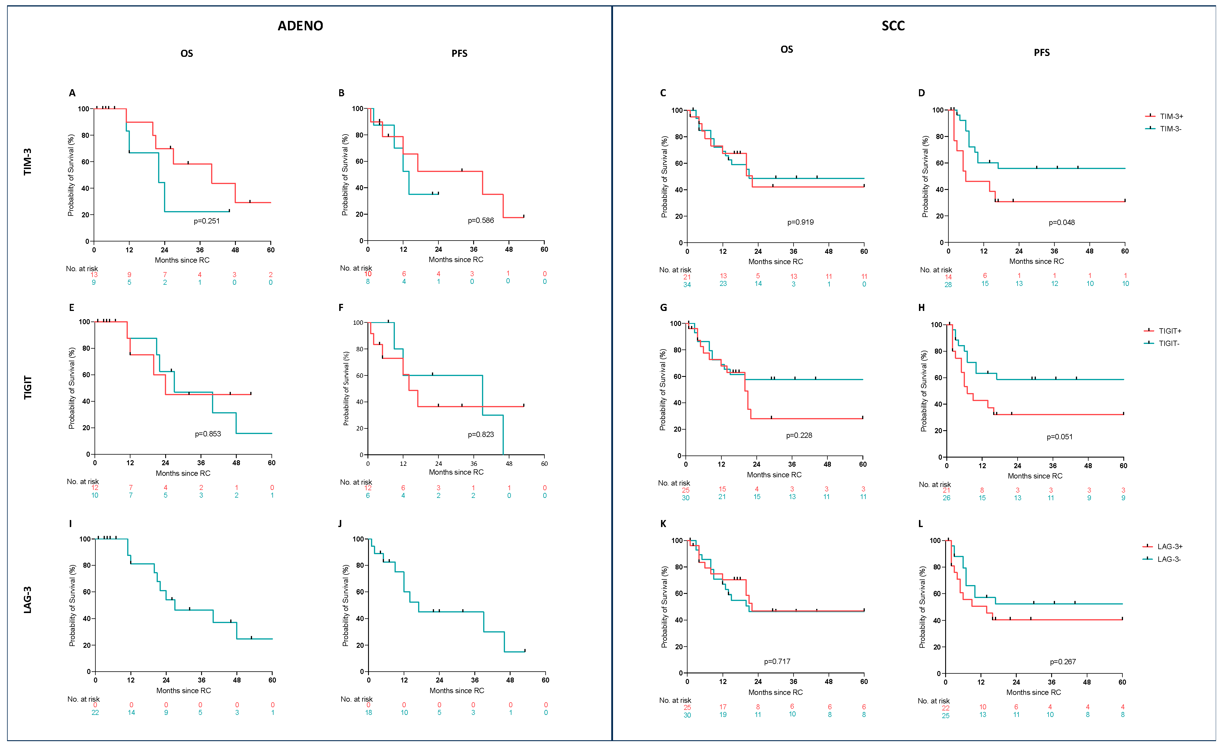 Cancers 17 02210 g002