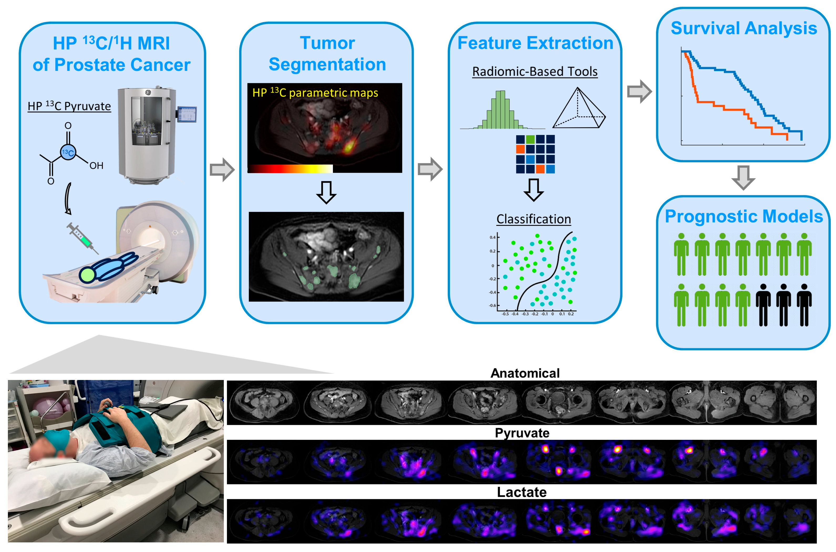 Cancers 17 02211 g001