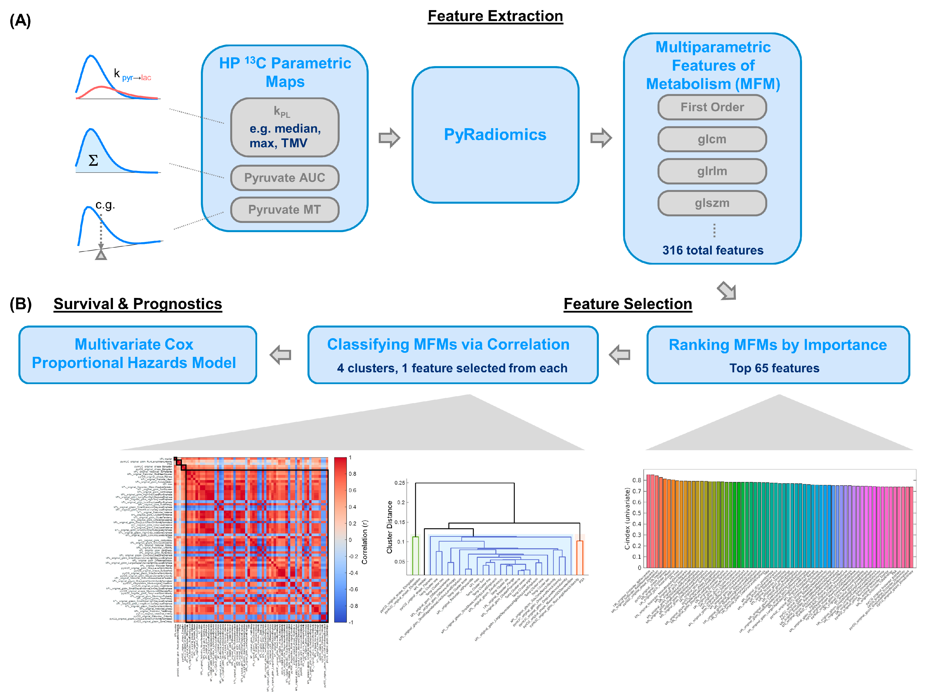 Cancers 17 02211 g004