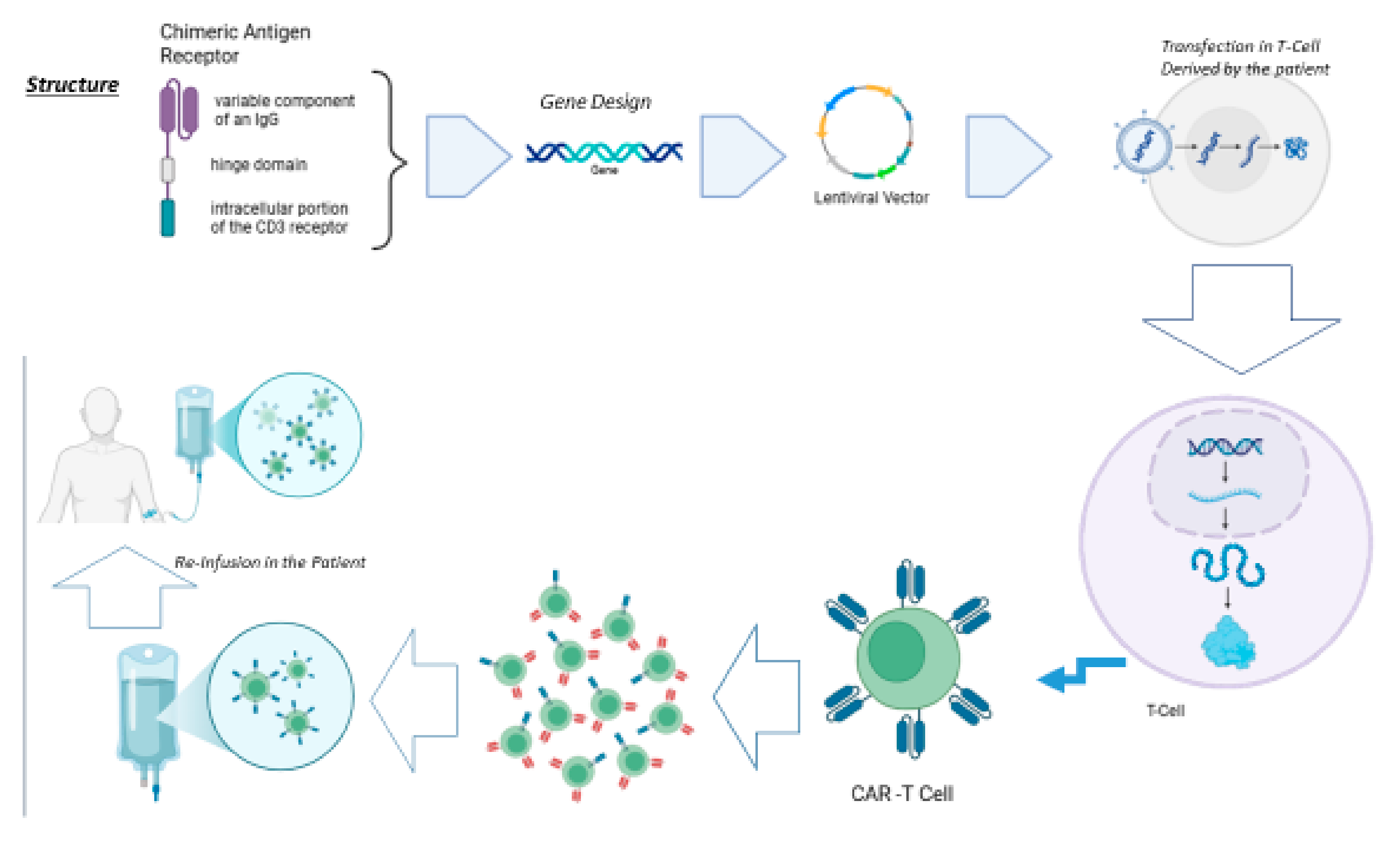 Cancers 17 02215 g001