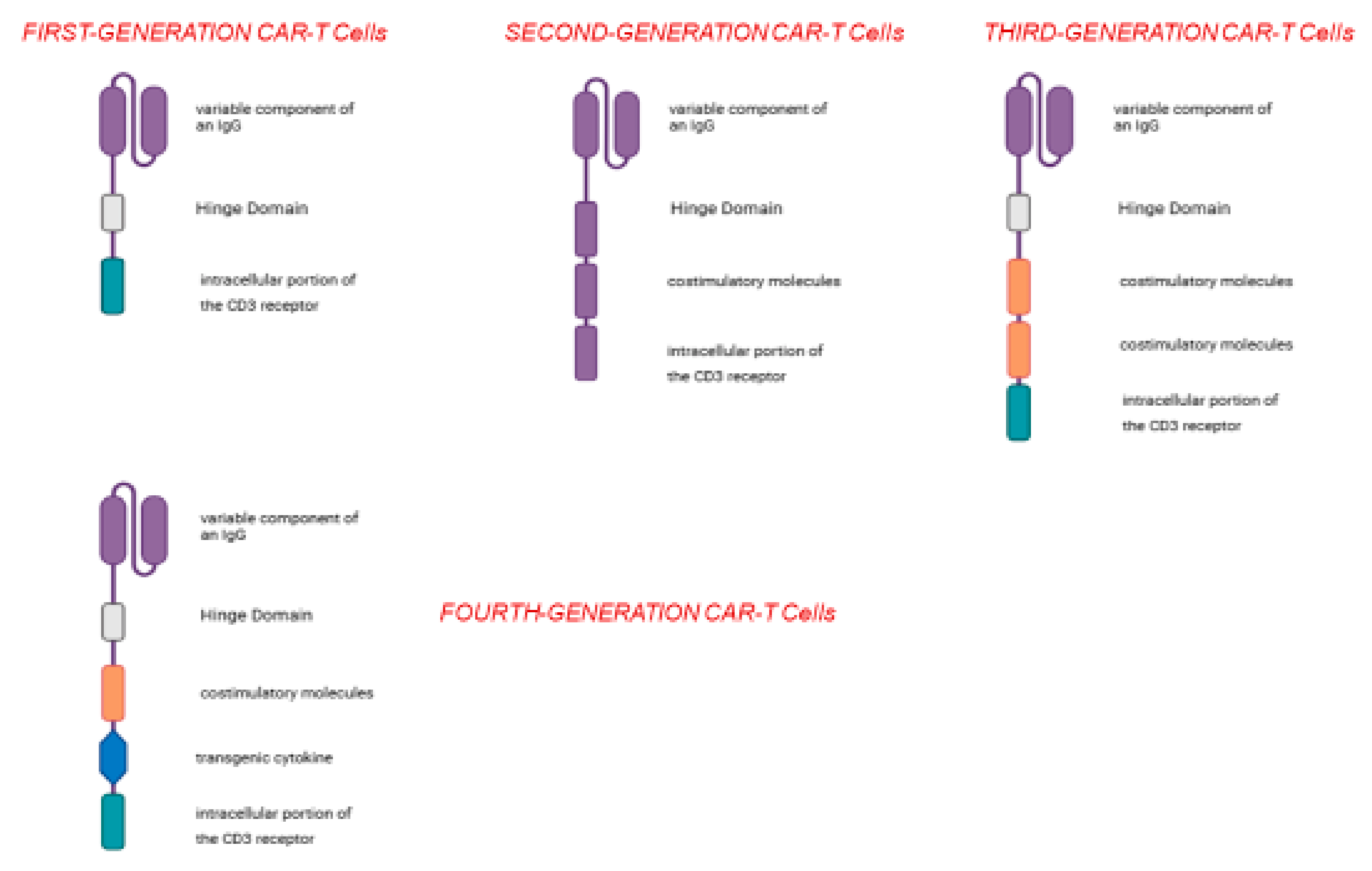 Cancers 17 02215 g002