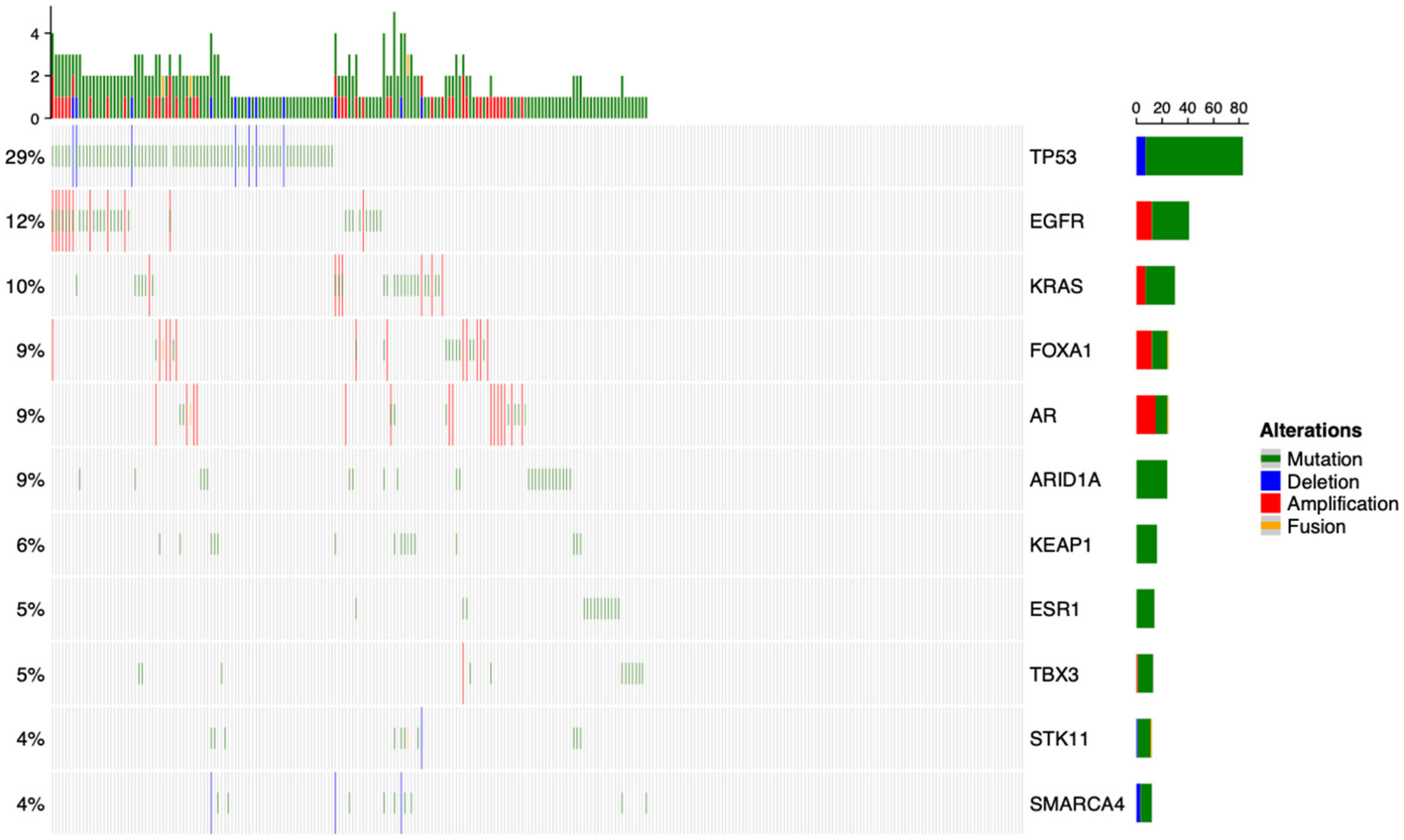 Cancers 17 02218 g001