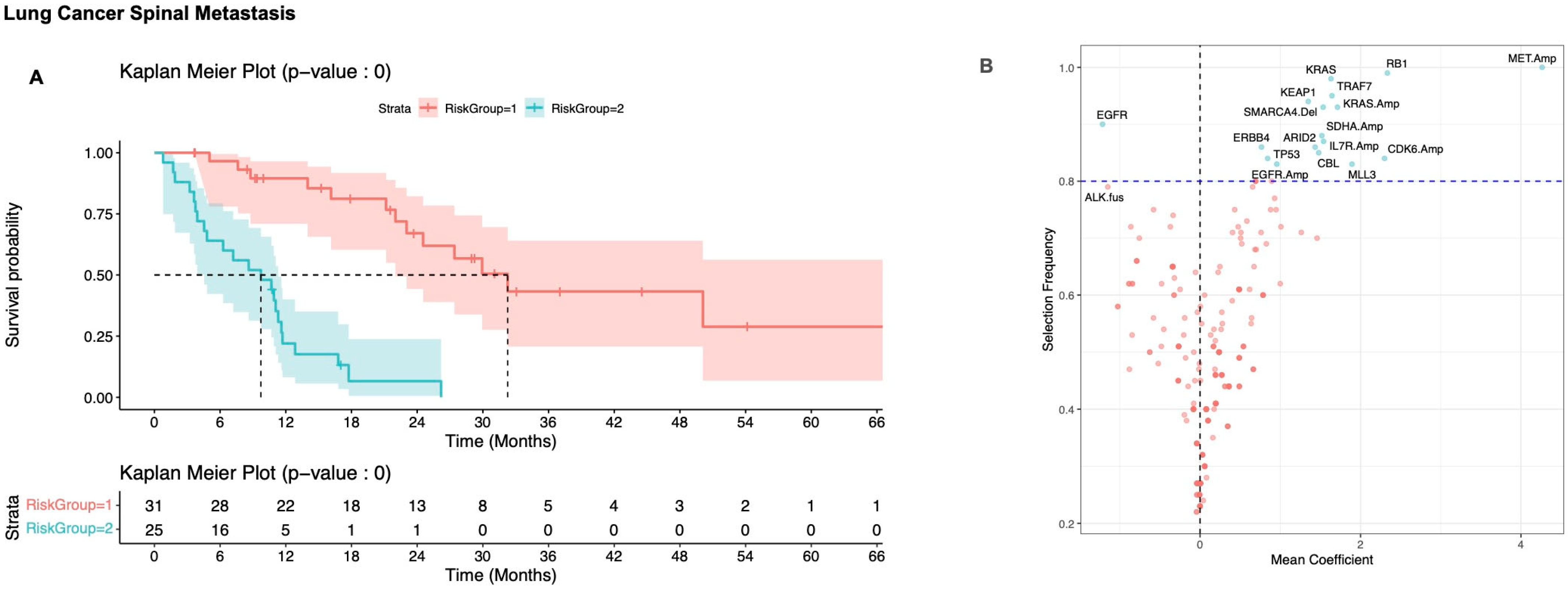 Cancers 17 02218 g004