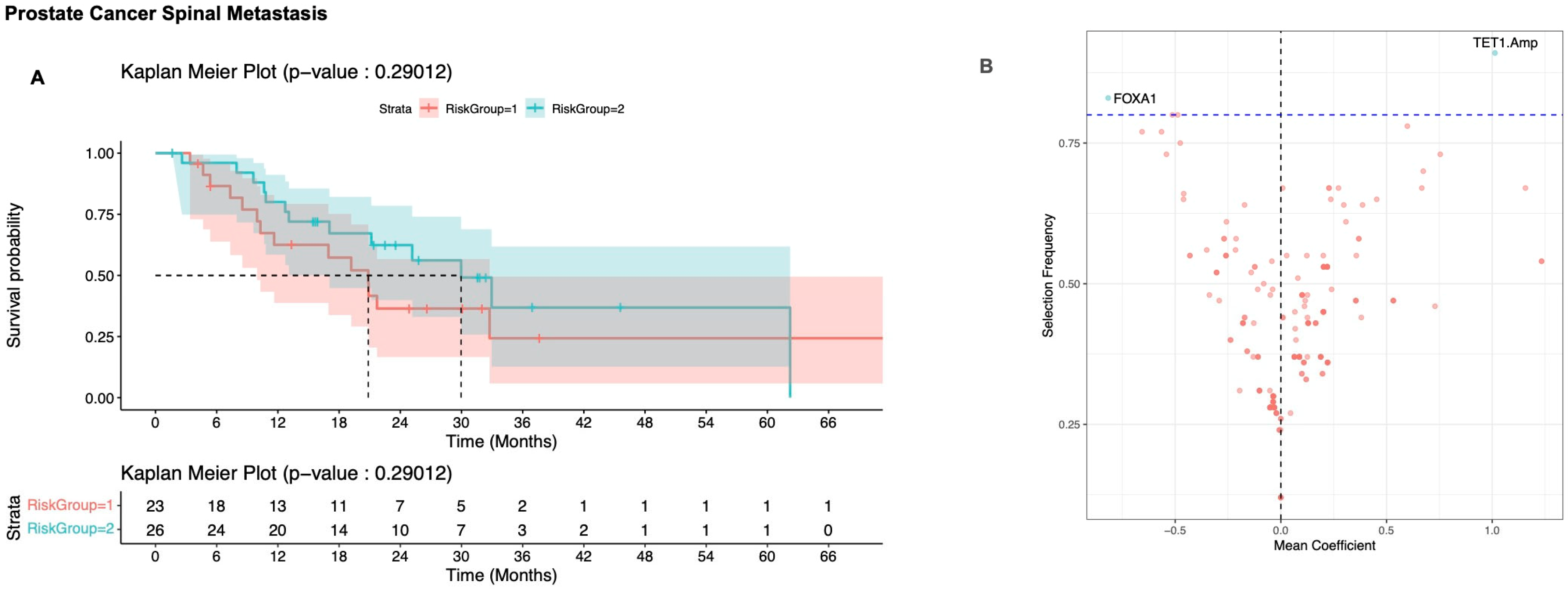 Cancers 17 02218 g005