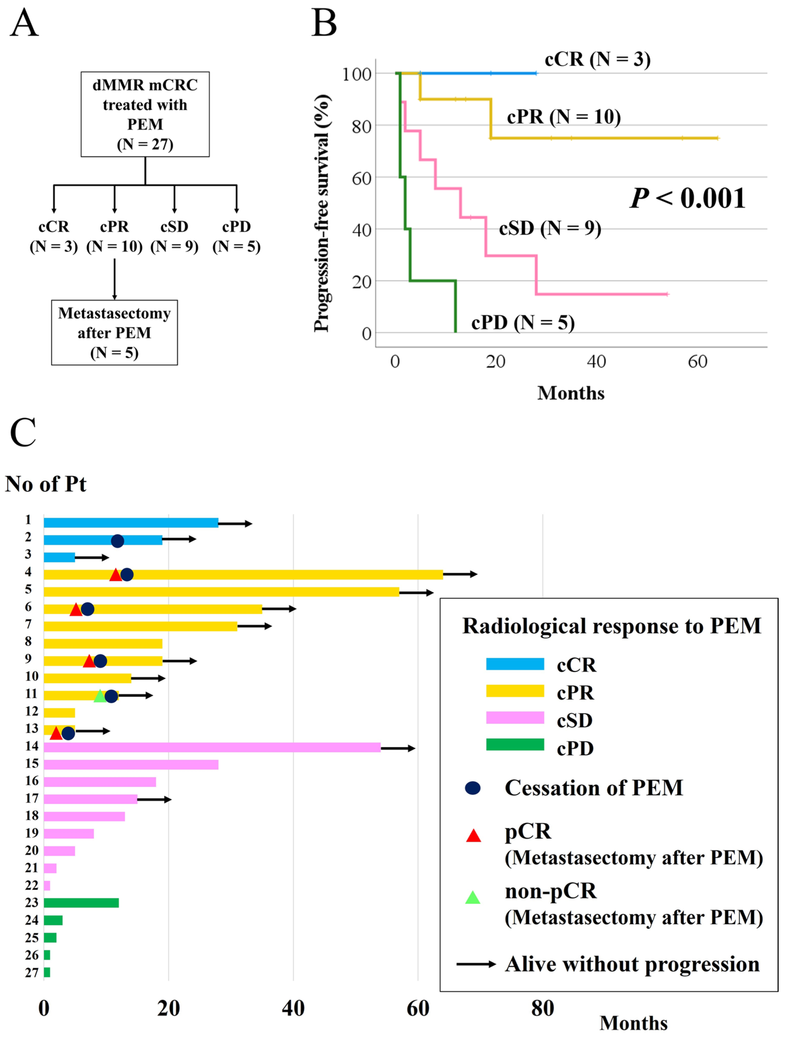 Cancers 17 02233 g001