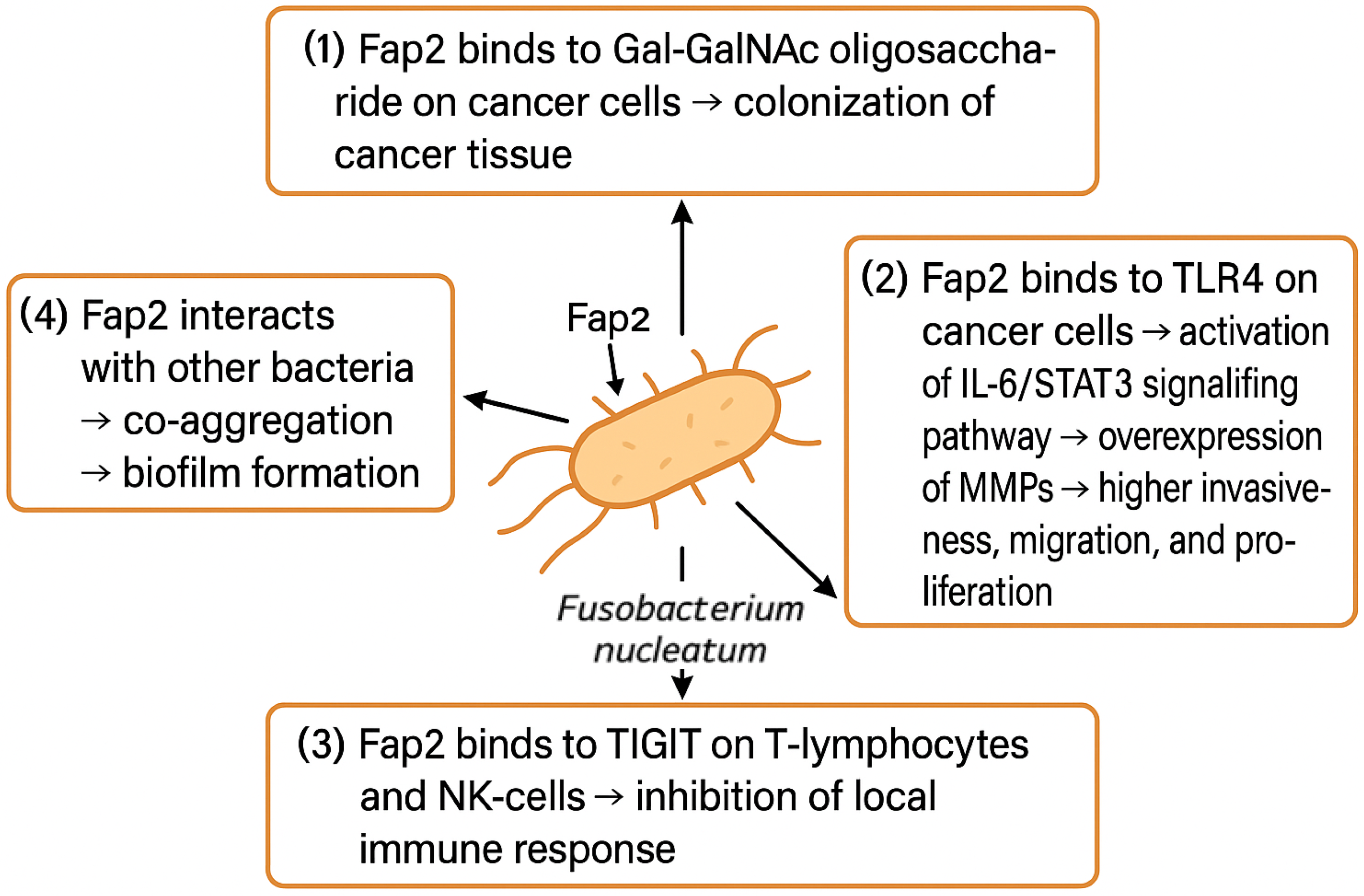 Cancers 17 02238 g003