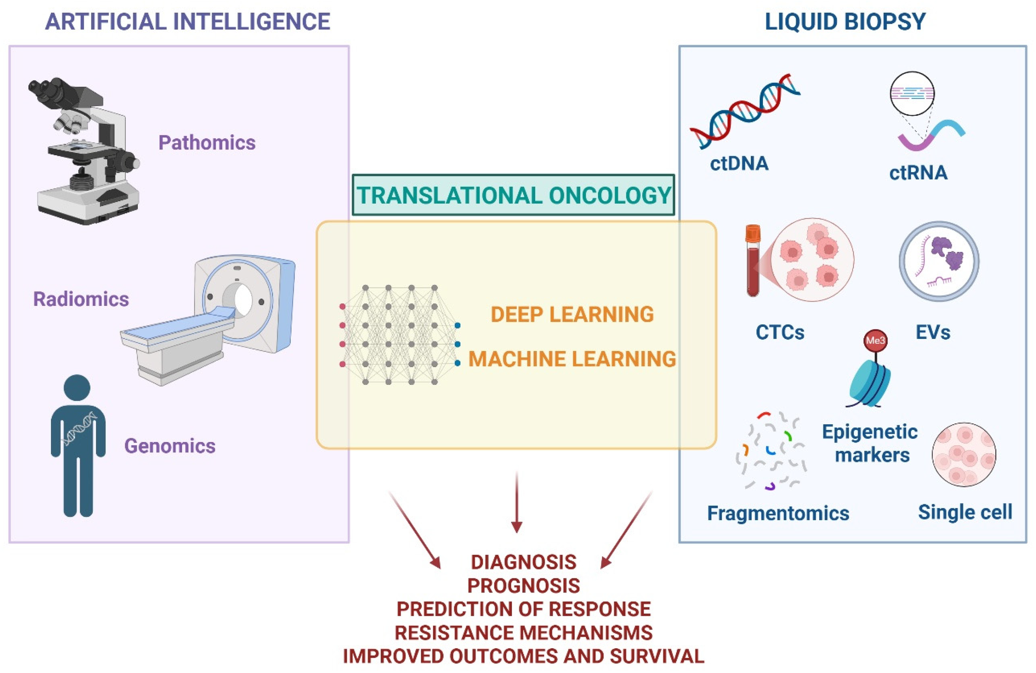 Cancers 17 02244 g002