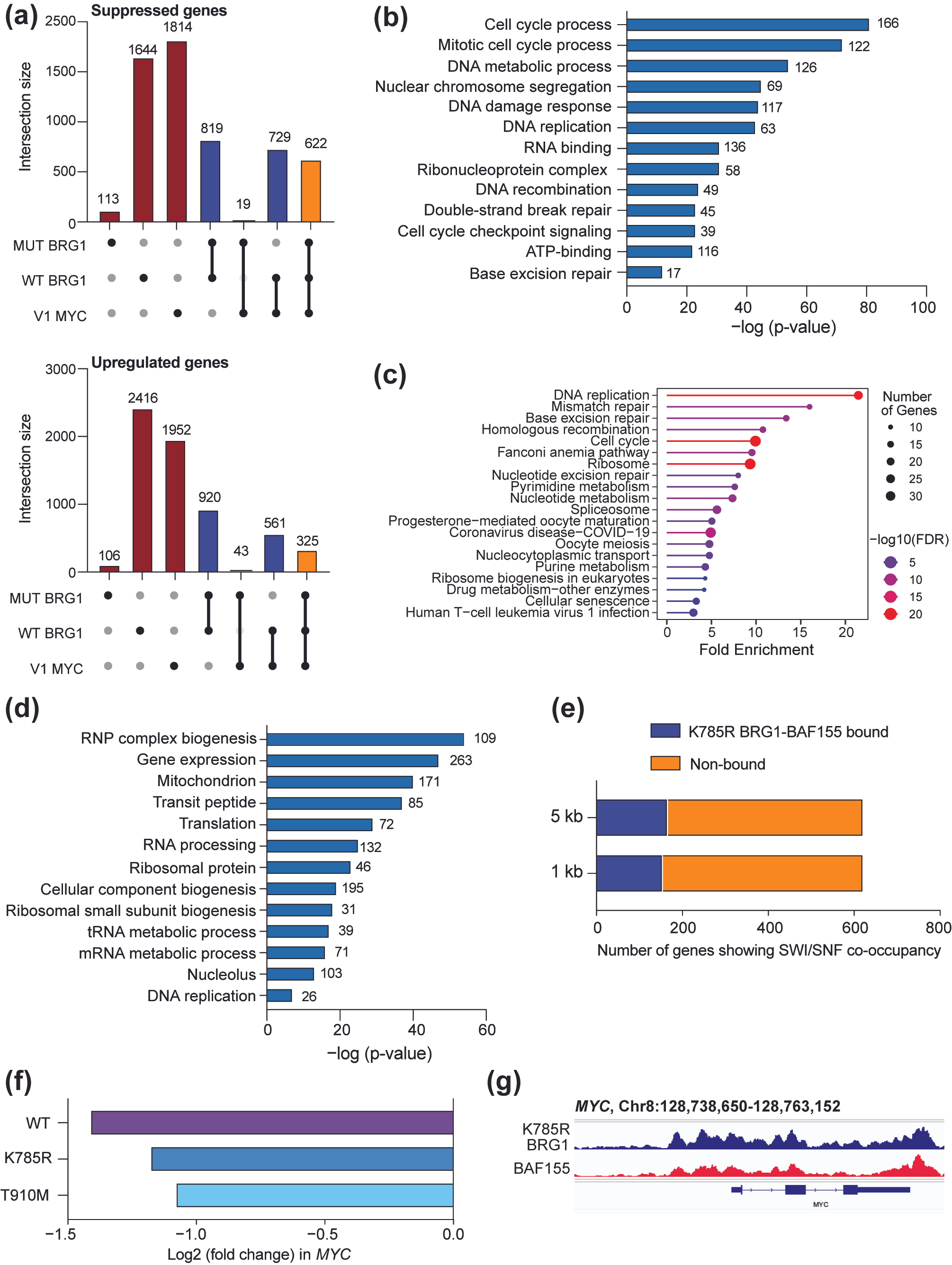 Cancers 17 02255 g005