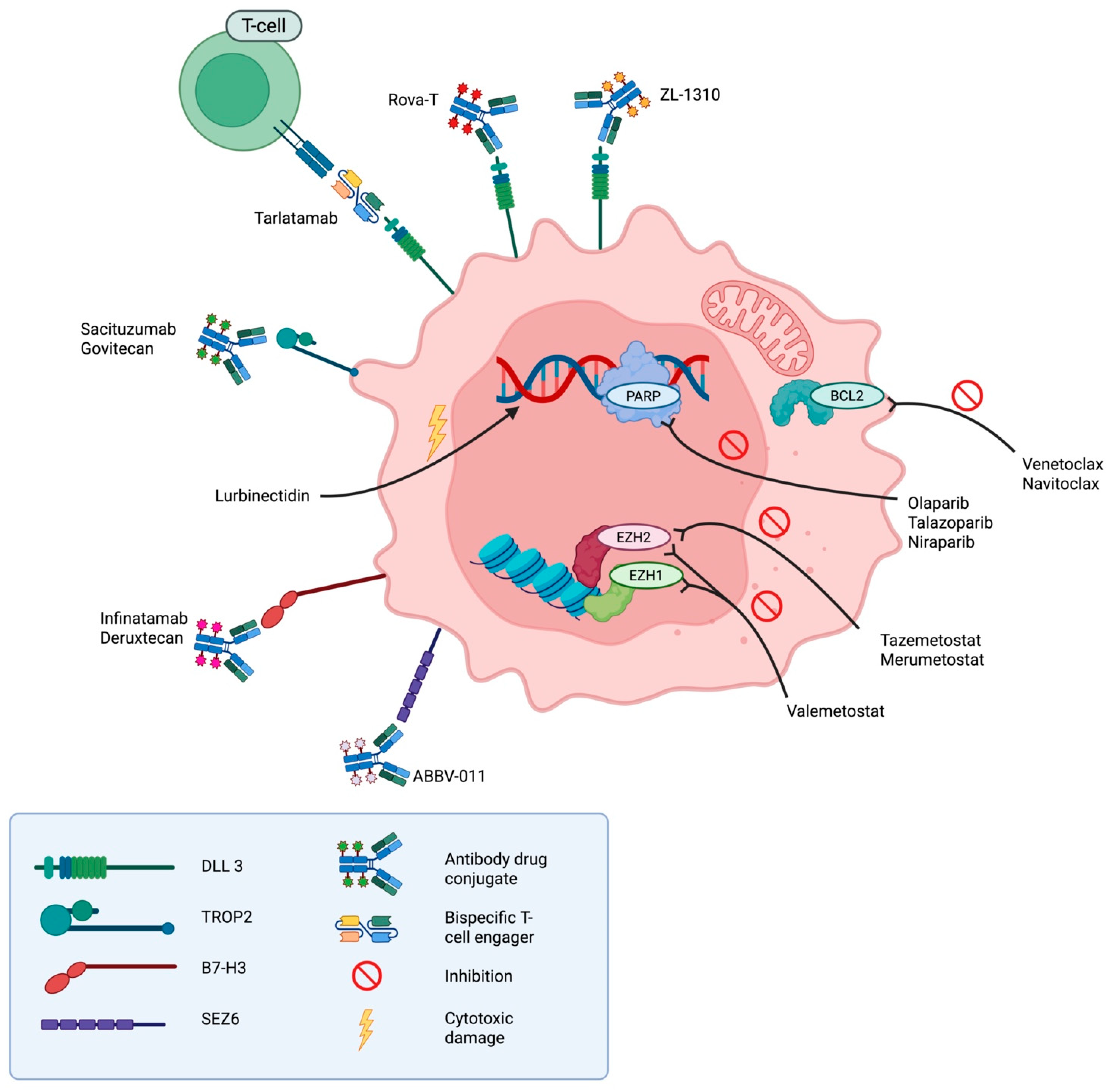 Cancers 17 02256 g002