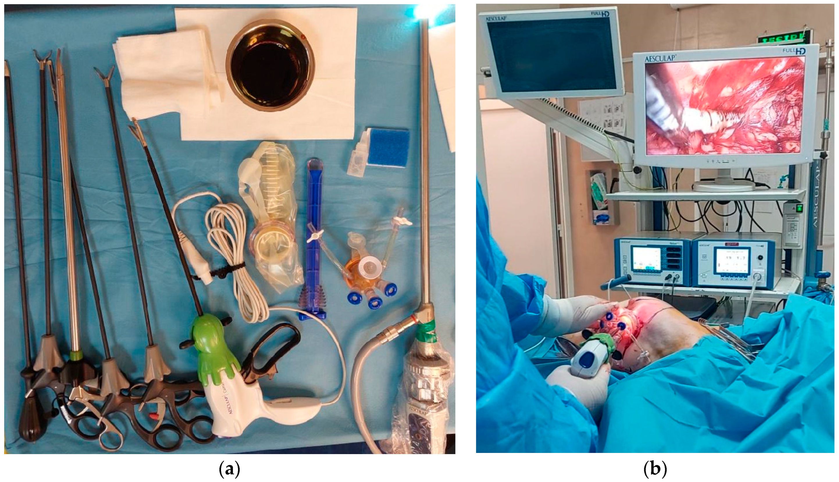 Cancers 17 02267 g002