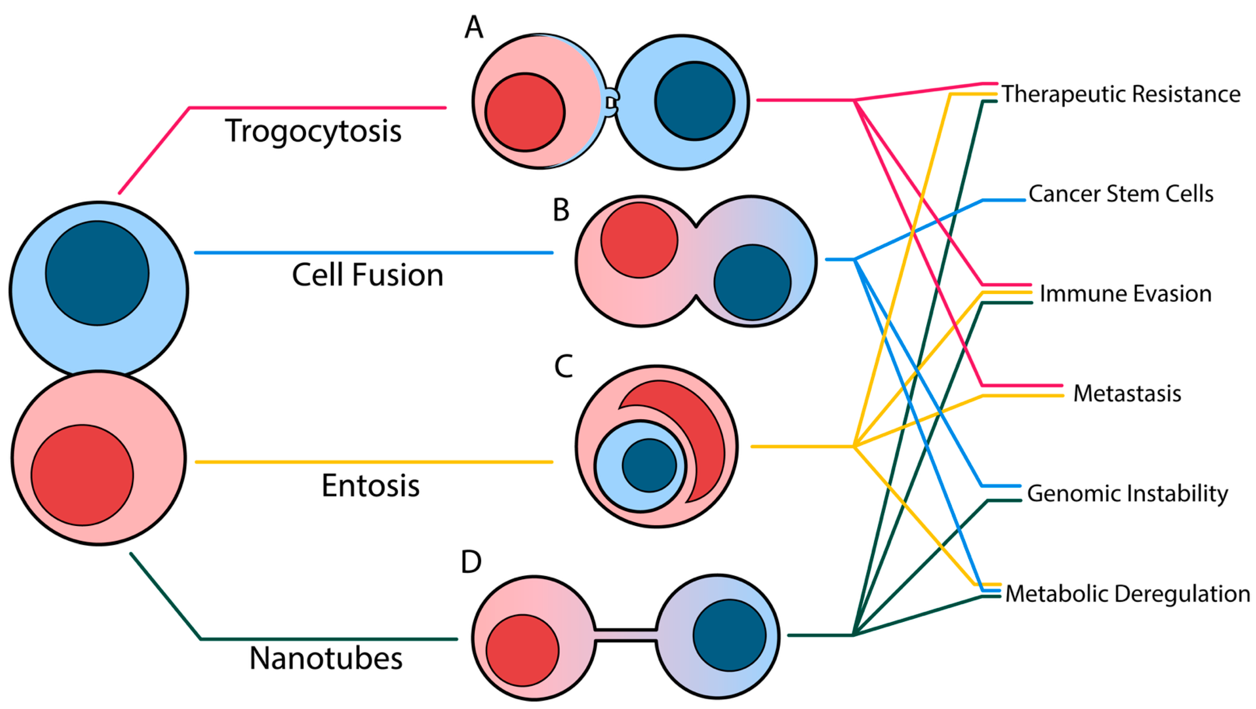 Cancers 17 02268 g001