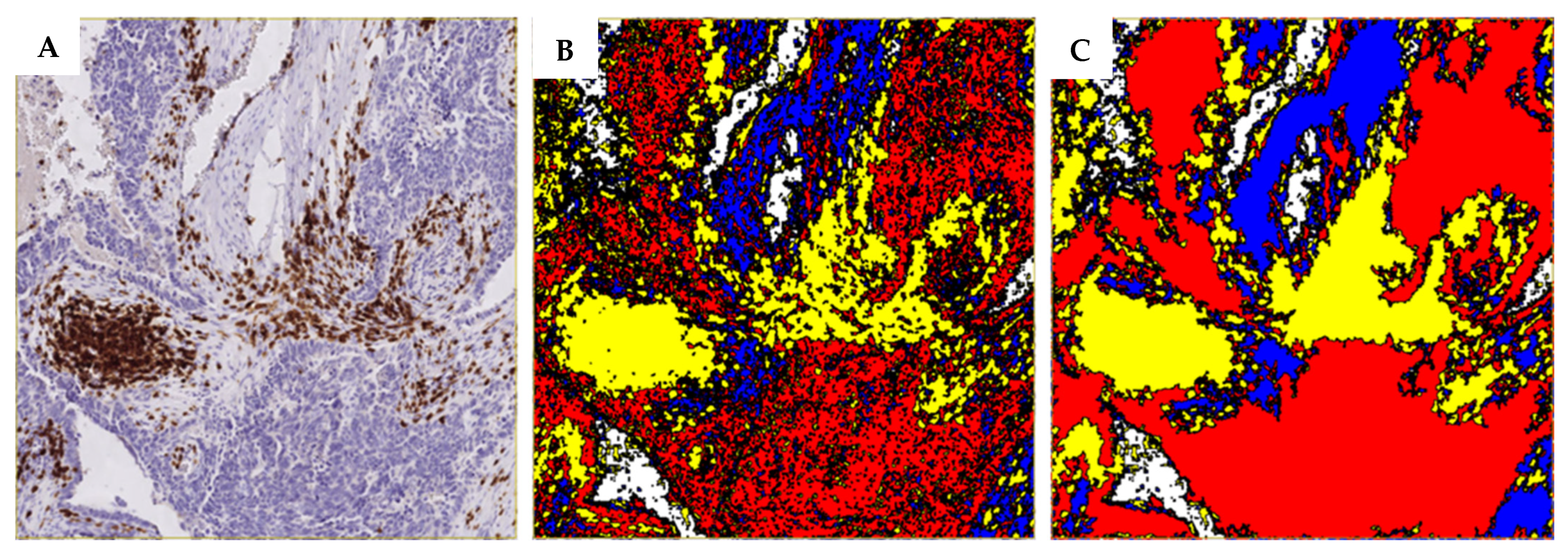 Cancers 17 02269 g001