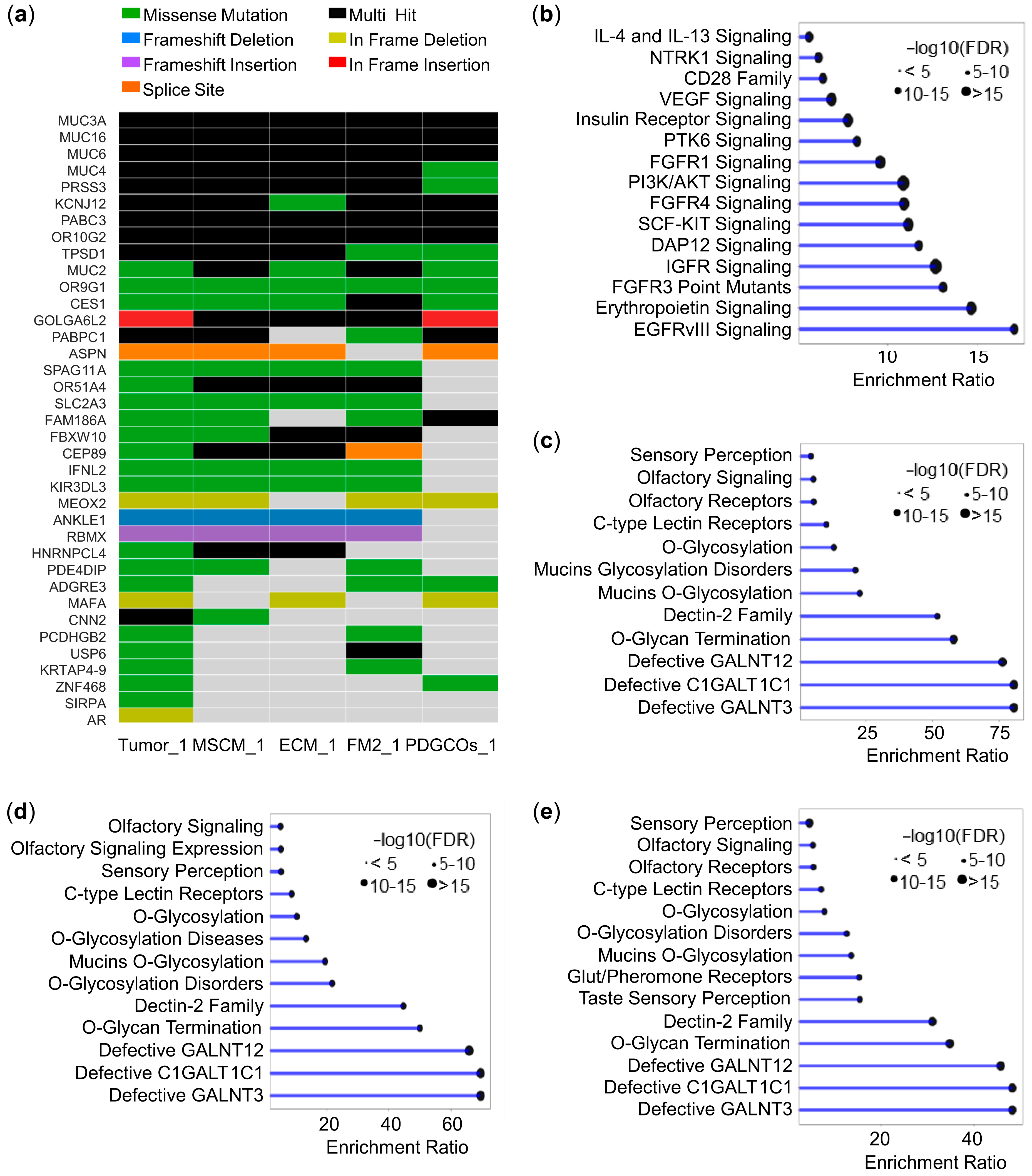 Cancers 17 02287 g002