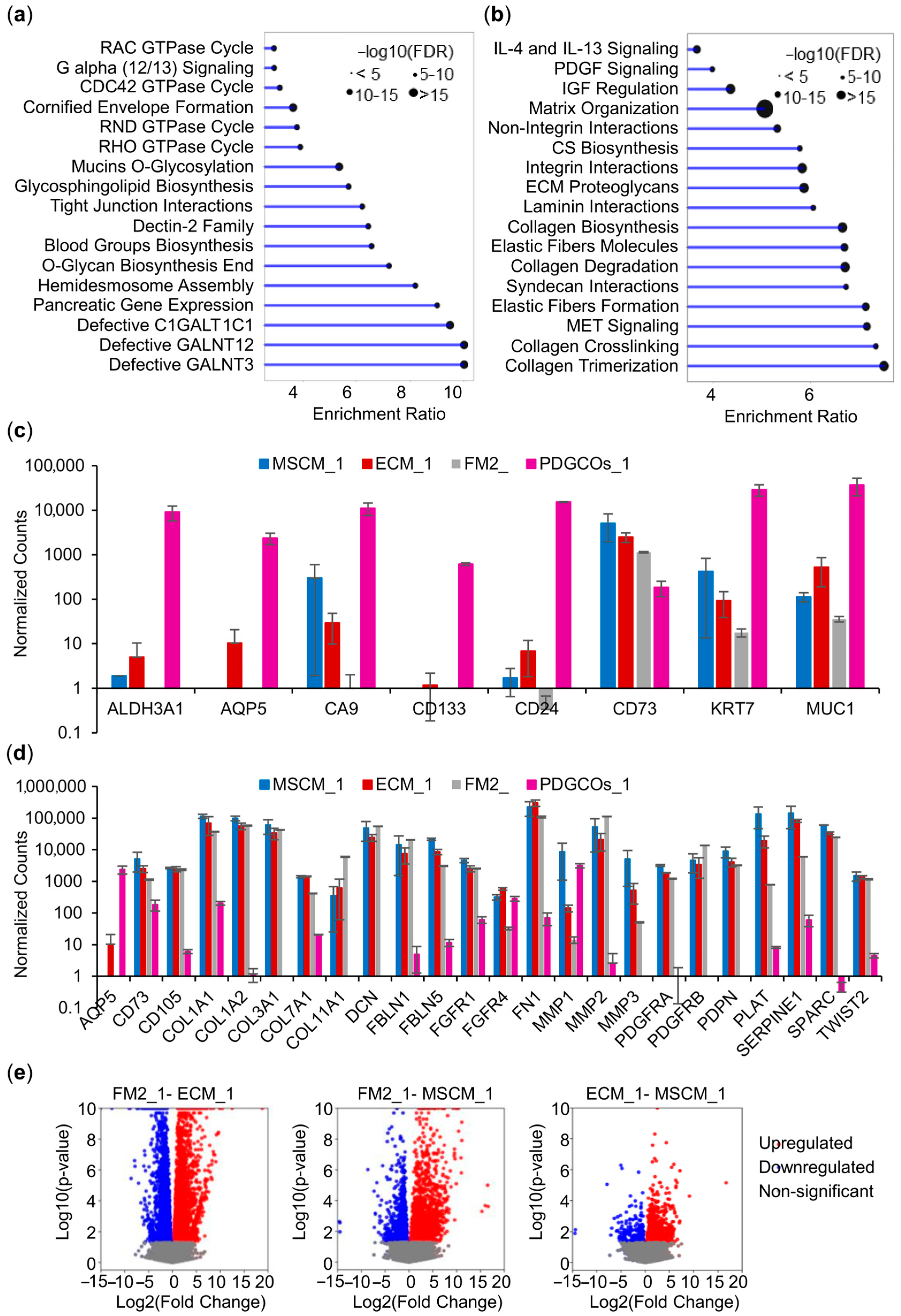 Cancers 17 02287 g003