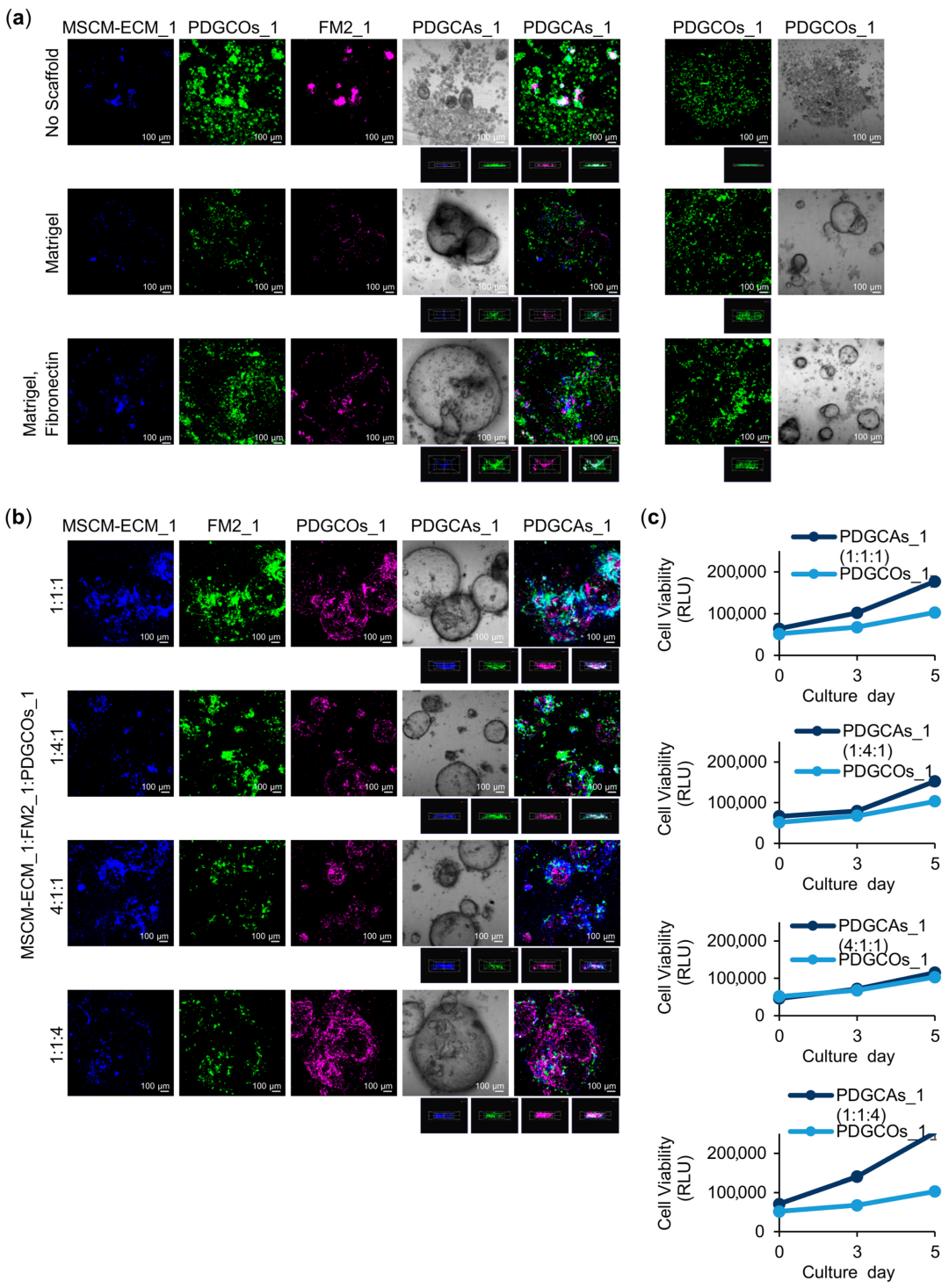 Cancers 17 02287 g004