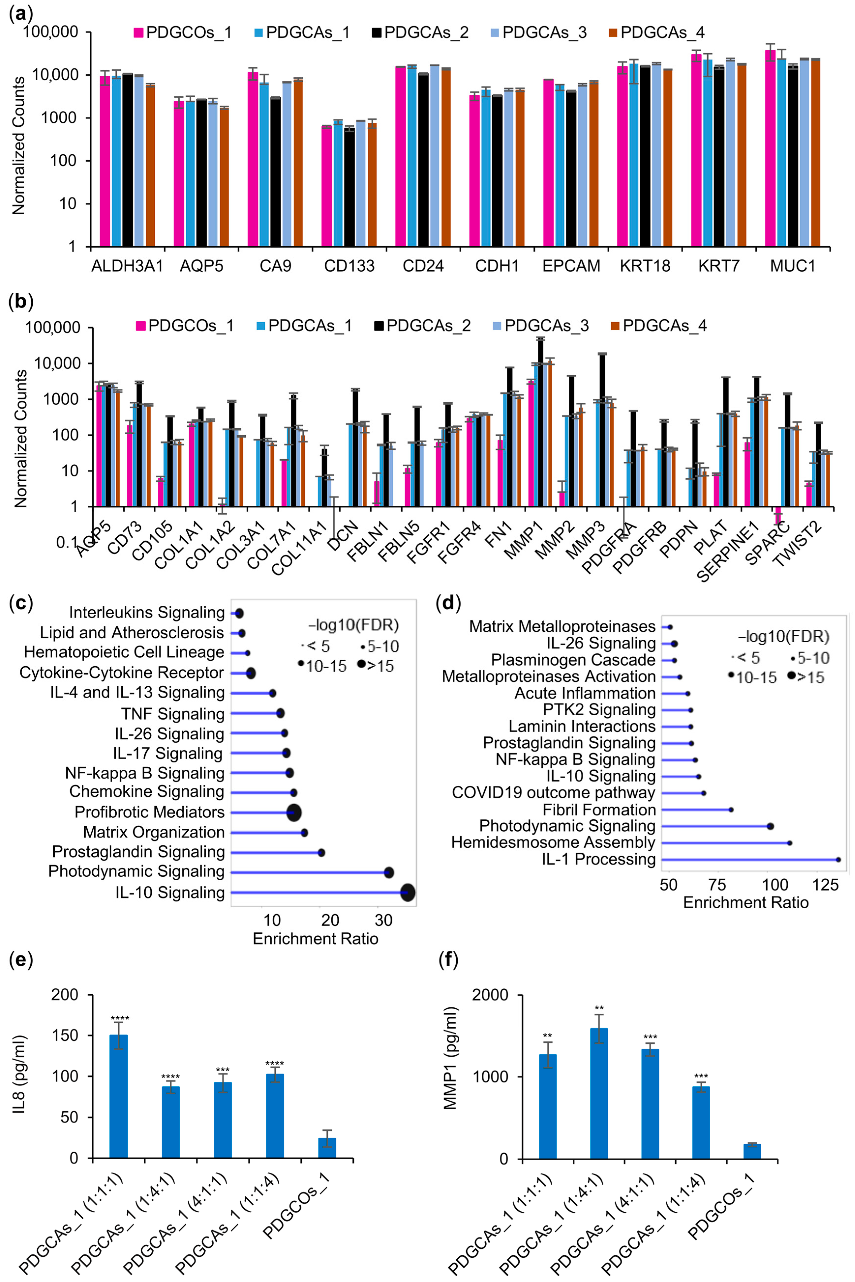 Cancers 17 02287 g006