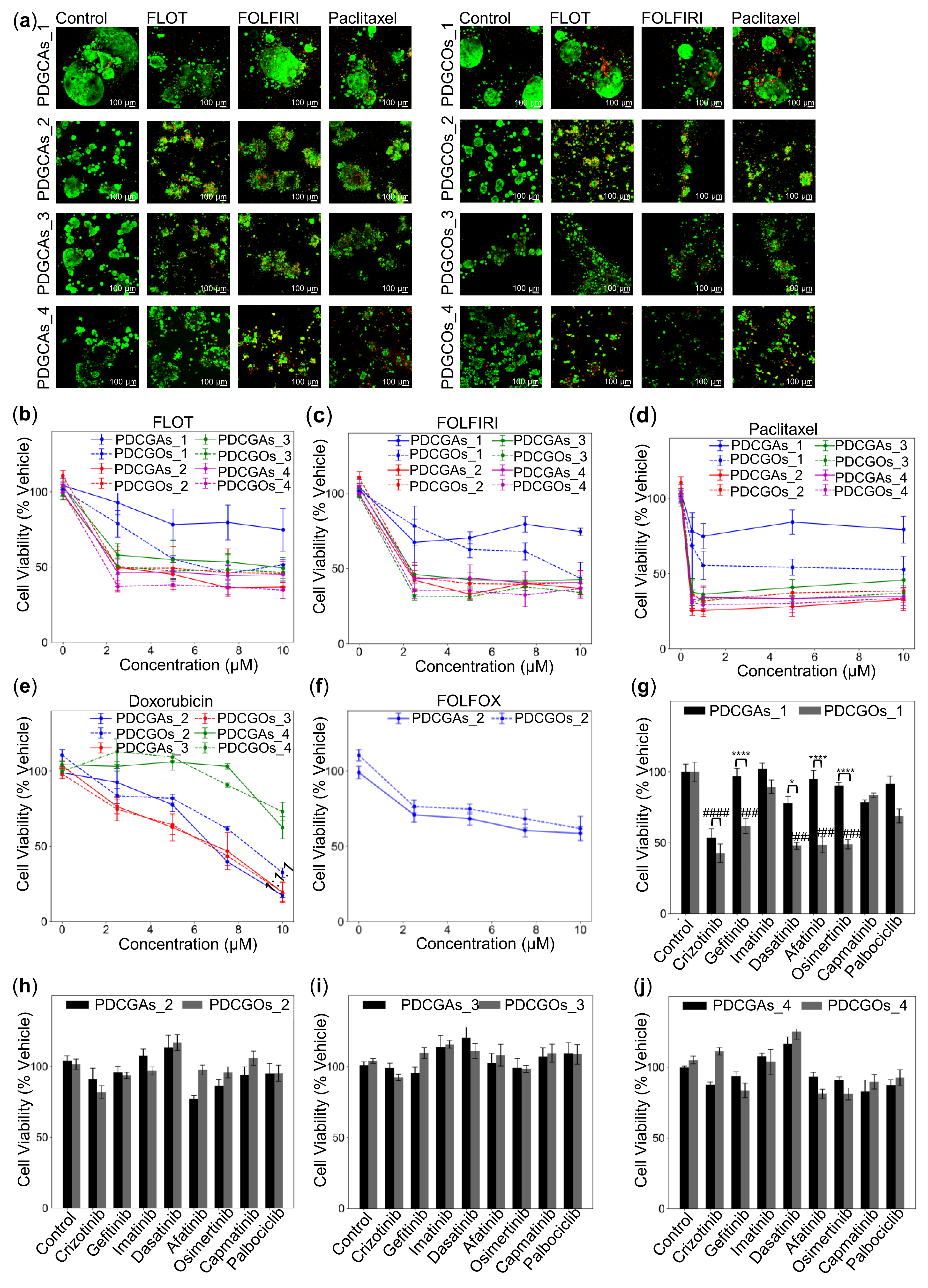 Cancers 17 02287 g007