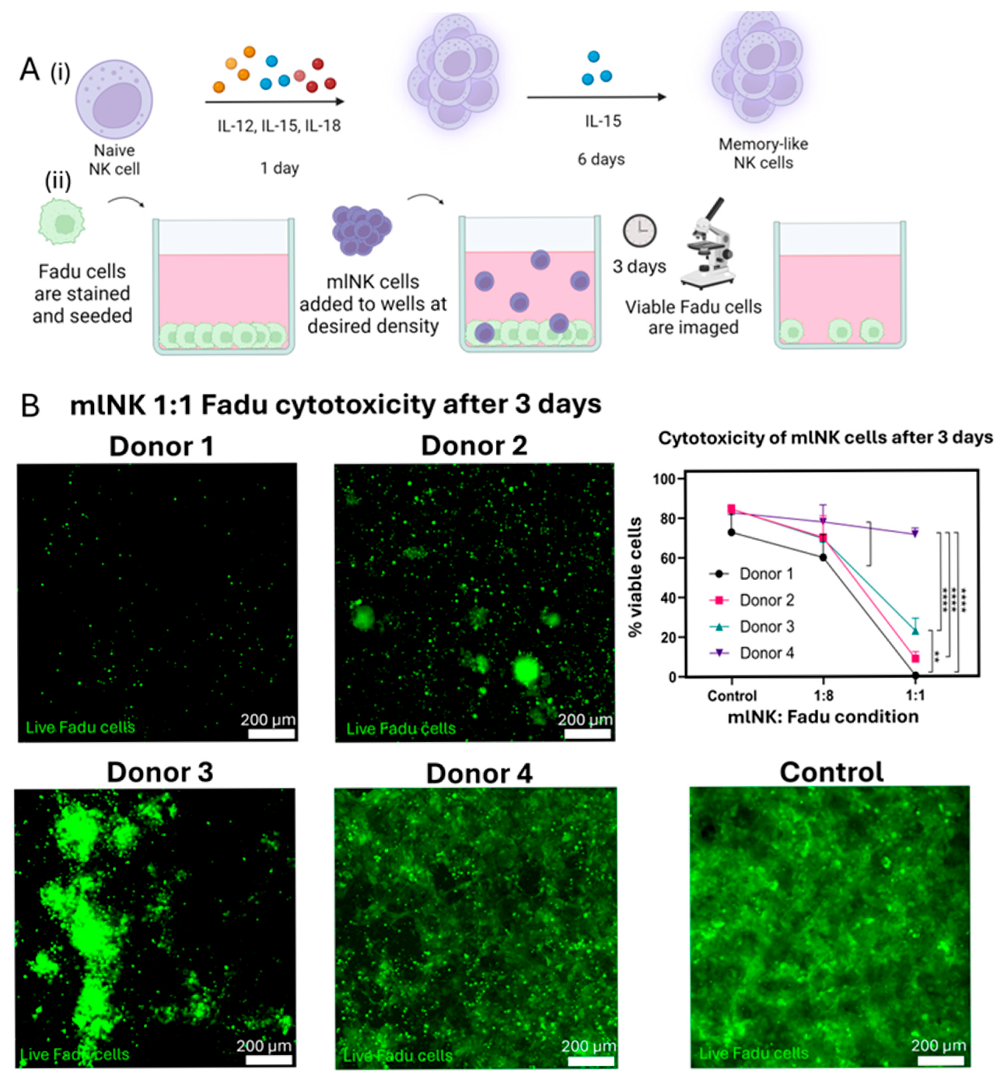 Cancers 17 02288 g001