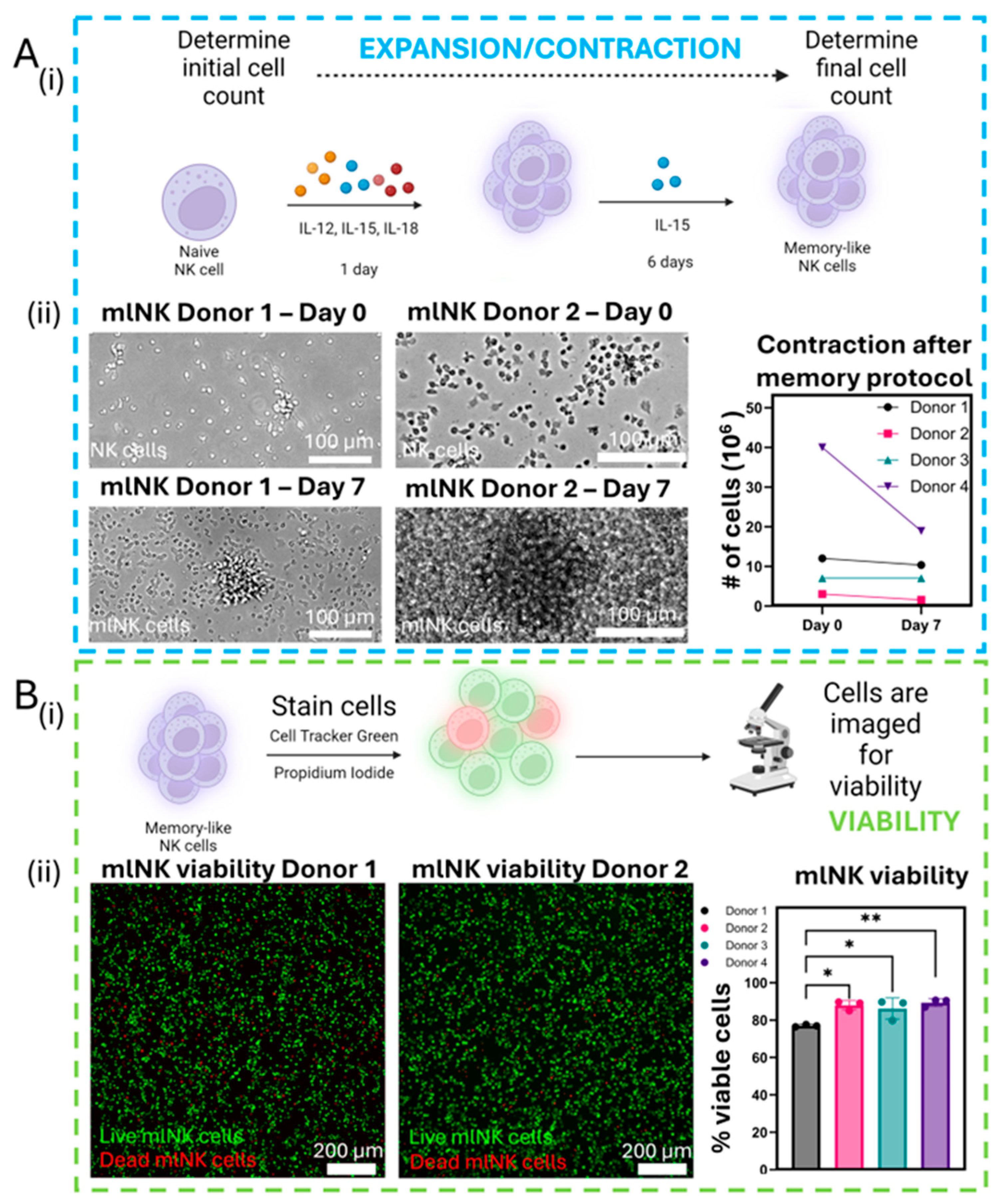 Cancers 17 02288 g002