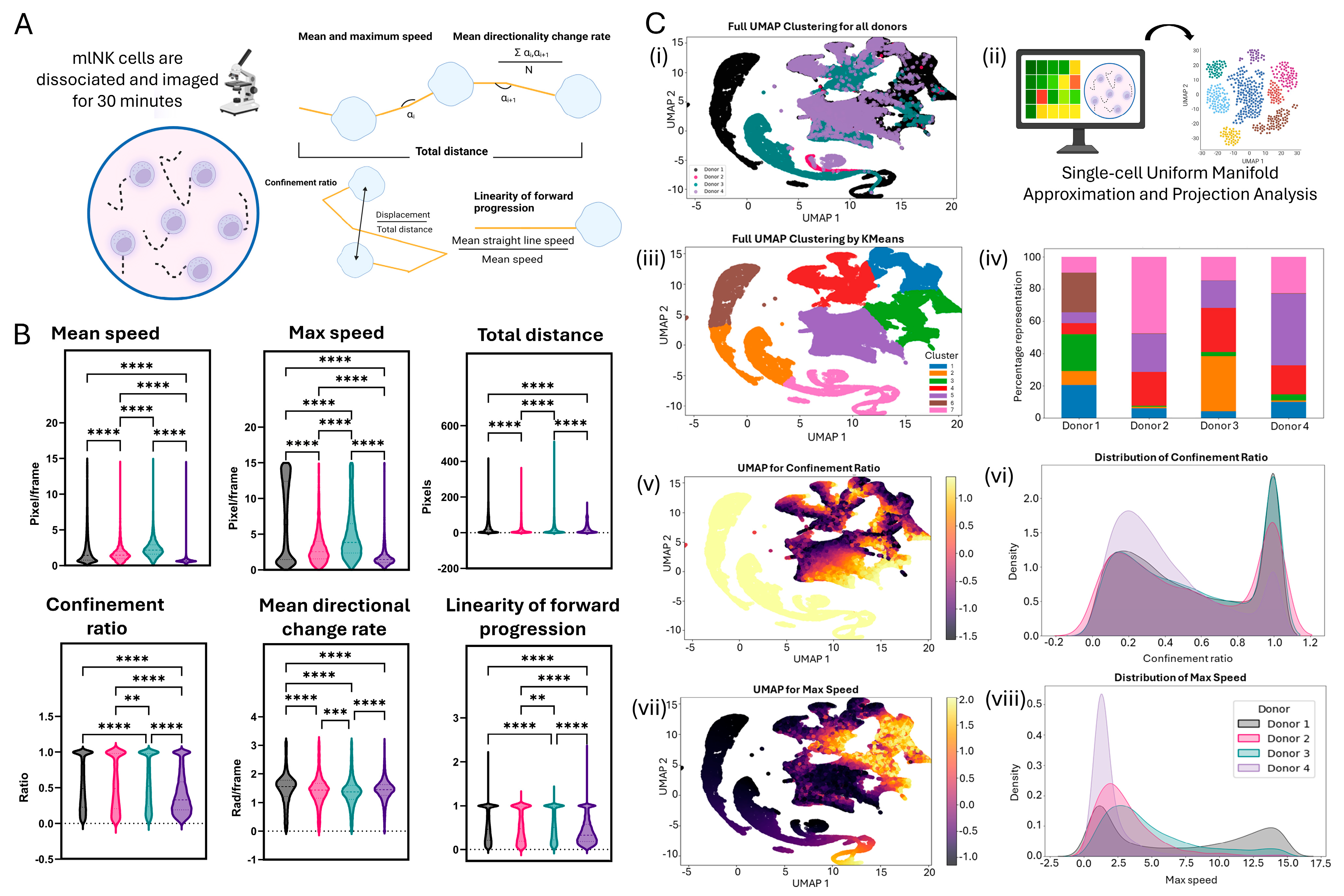 Cancers 17 02288 g004