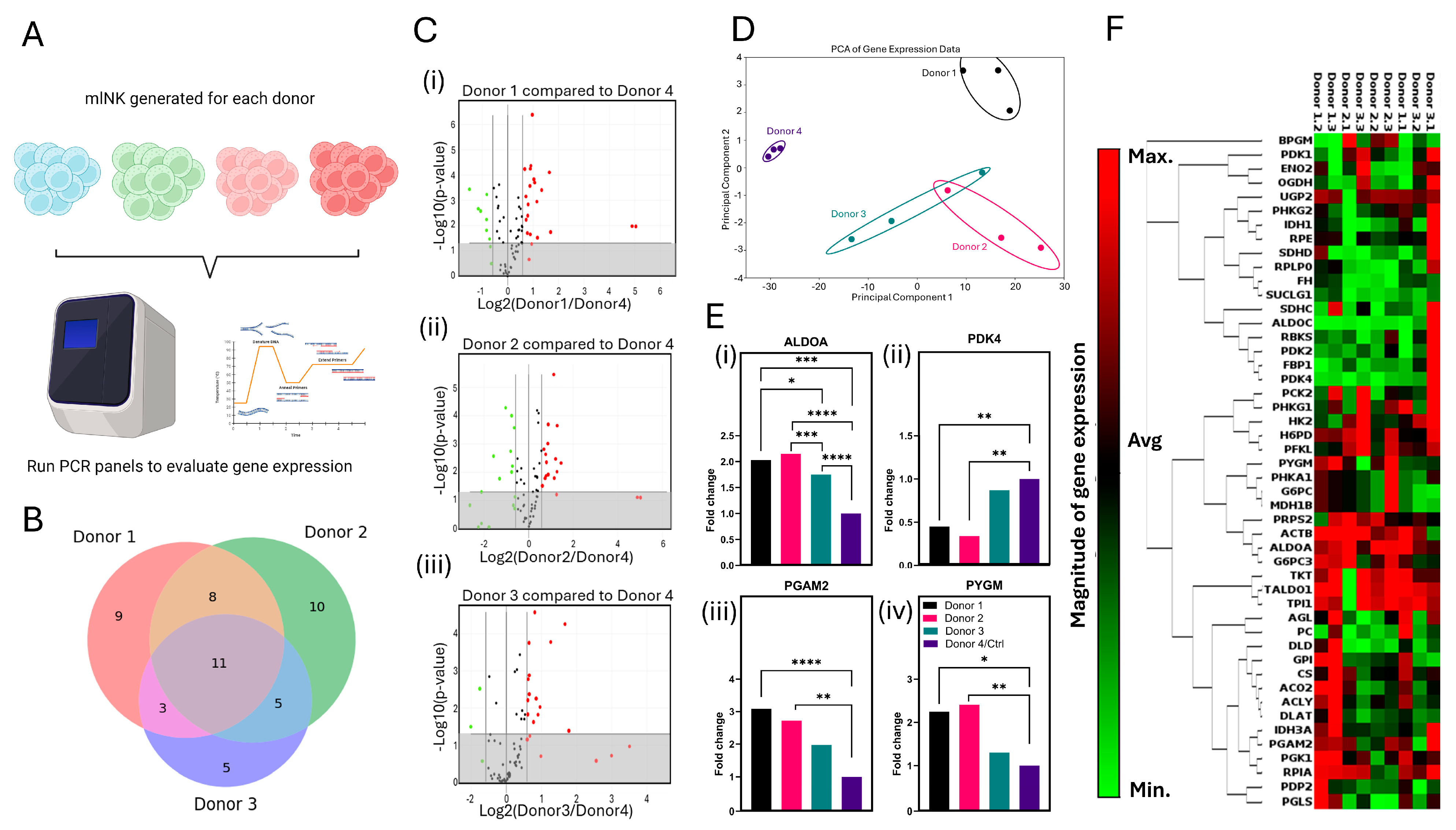Cancers 17 02288 g006