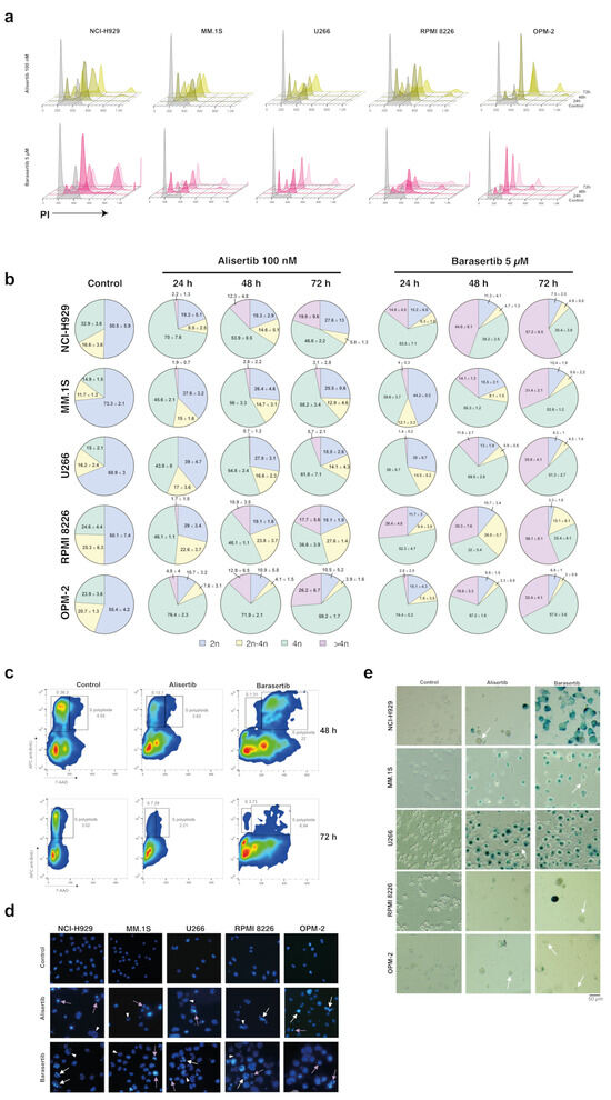 Alisertib and Barasertib Induce Cell Cycle Arrest and