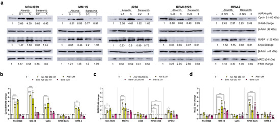 Alisertib and Barasertib Induce Cell Cycle Arrest and