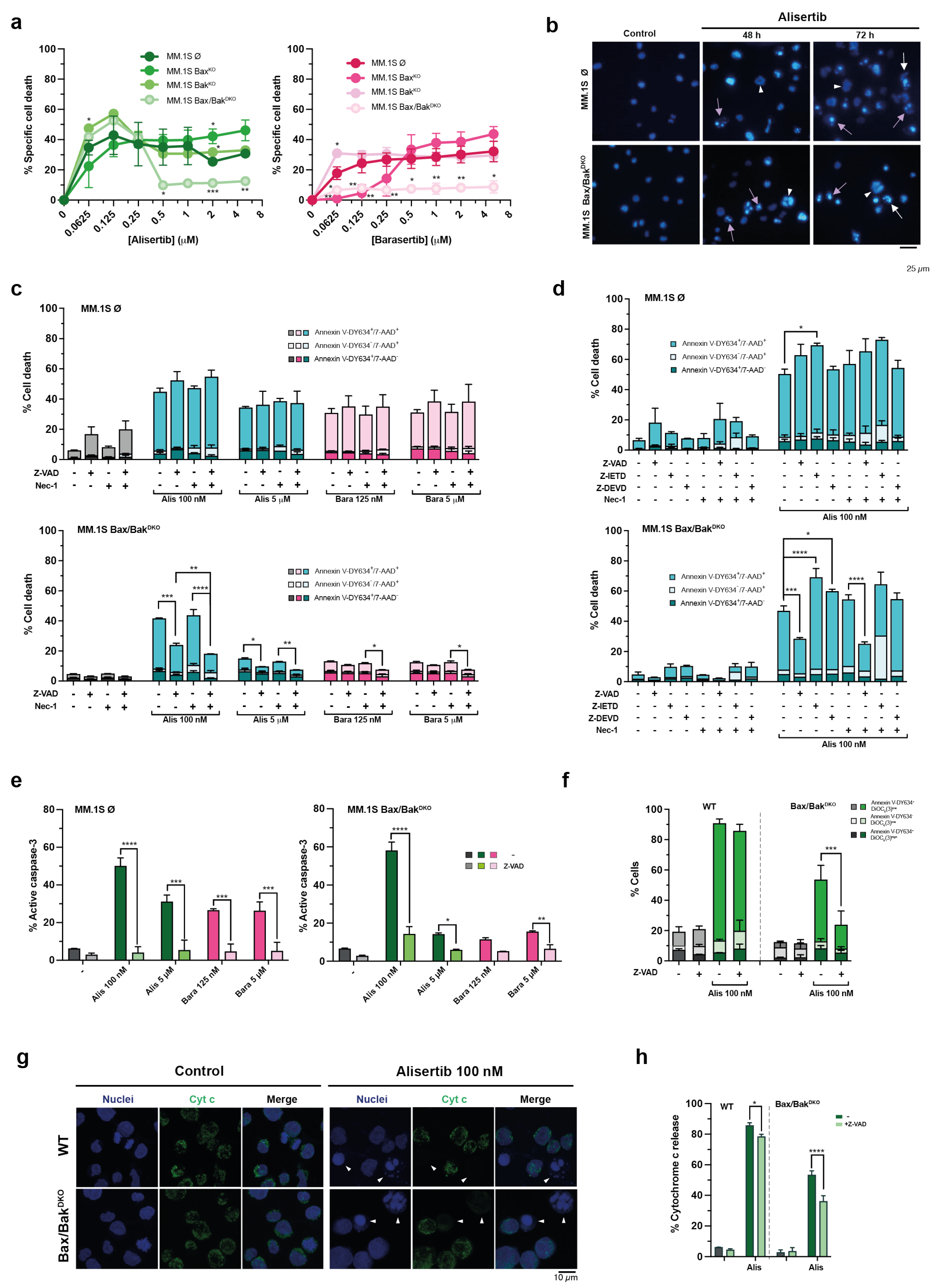 Cancers 17 02290 g006