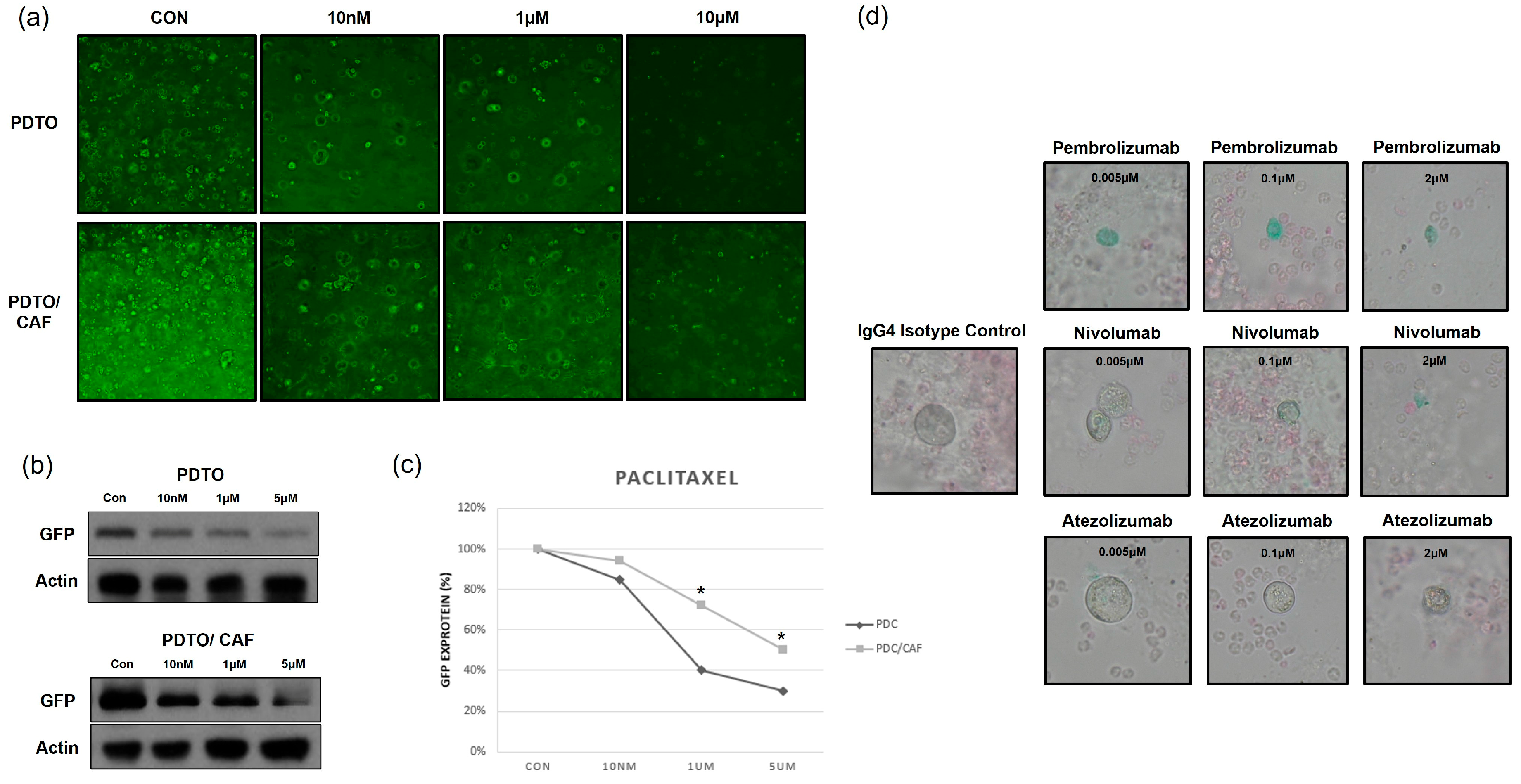 Cancers 17 02291 g004