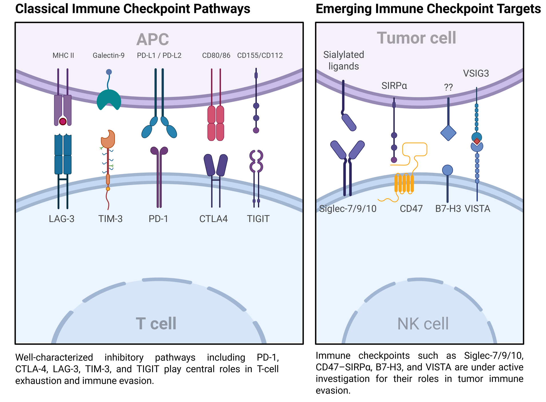 Cancers 17 02292 g002