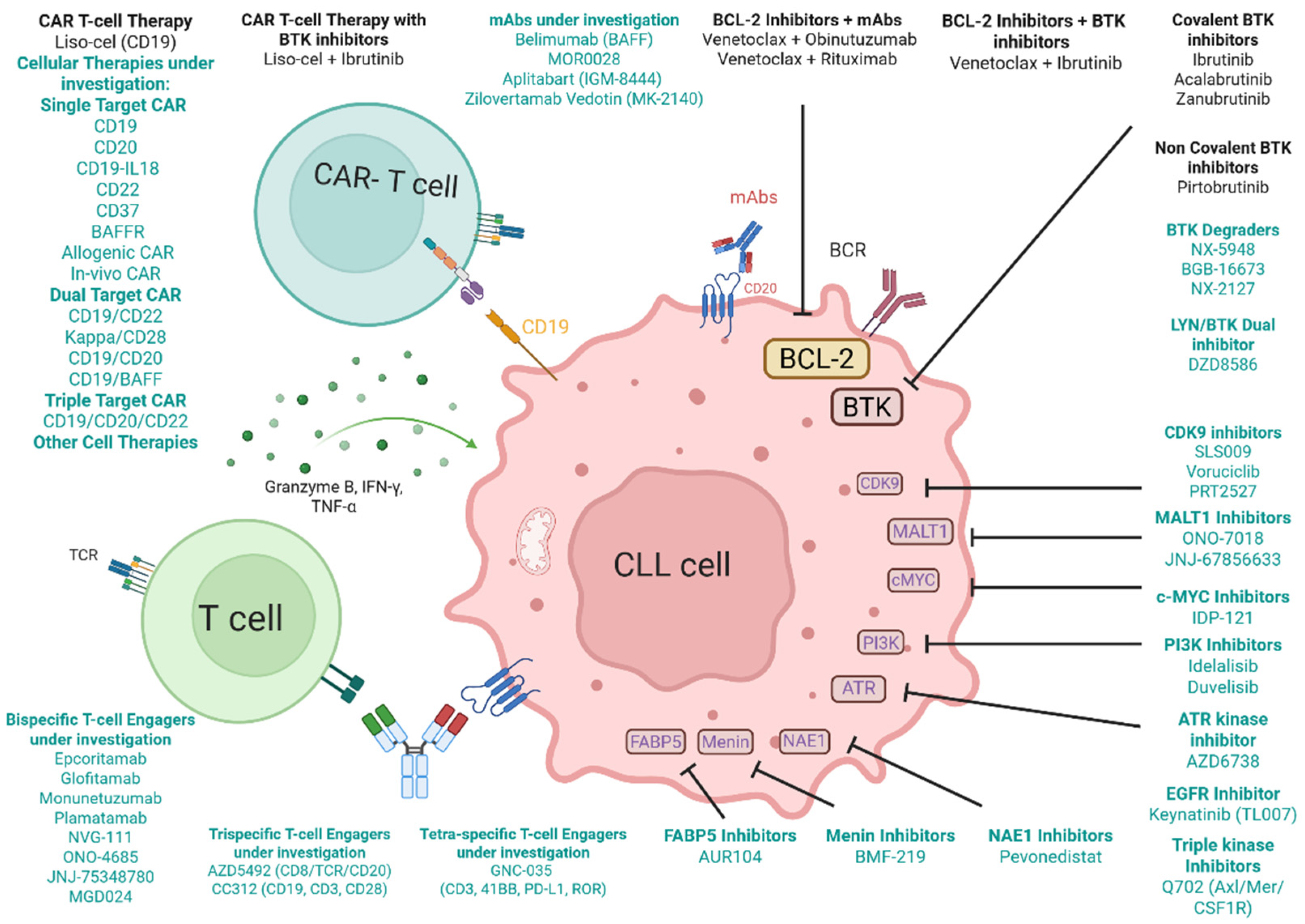 Cancers 17 02298 g001
